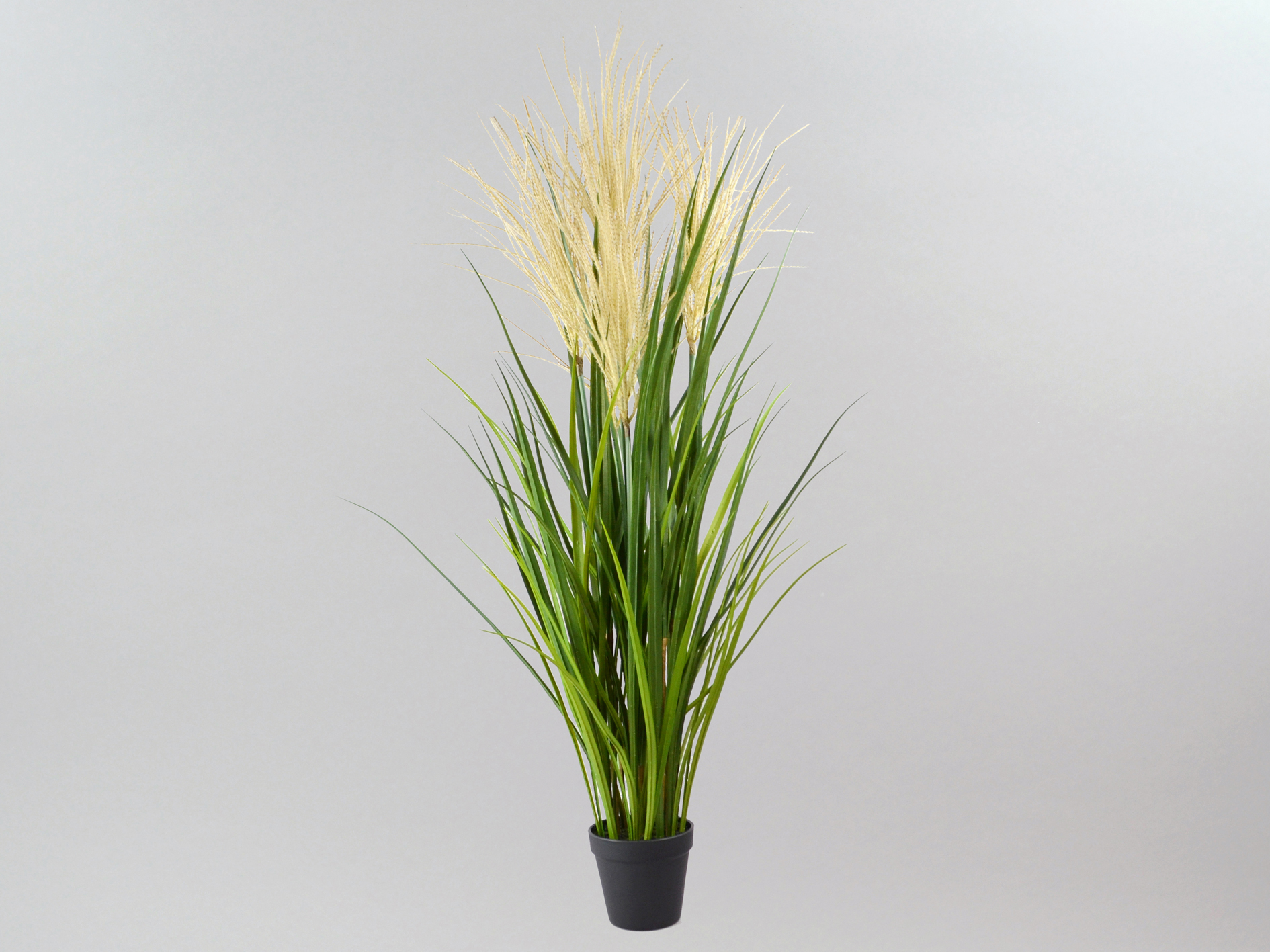 Grass bush in a black pot, 76cm, green