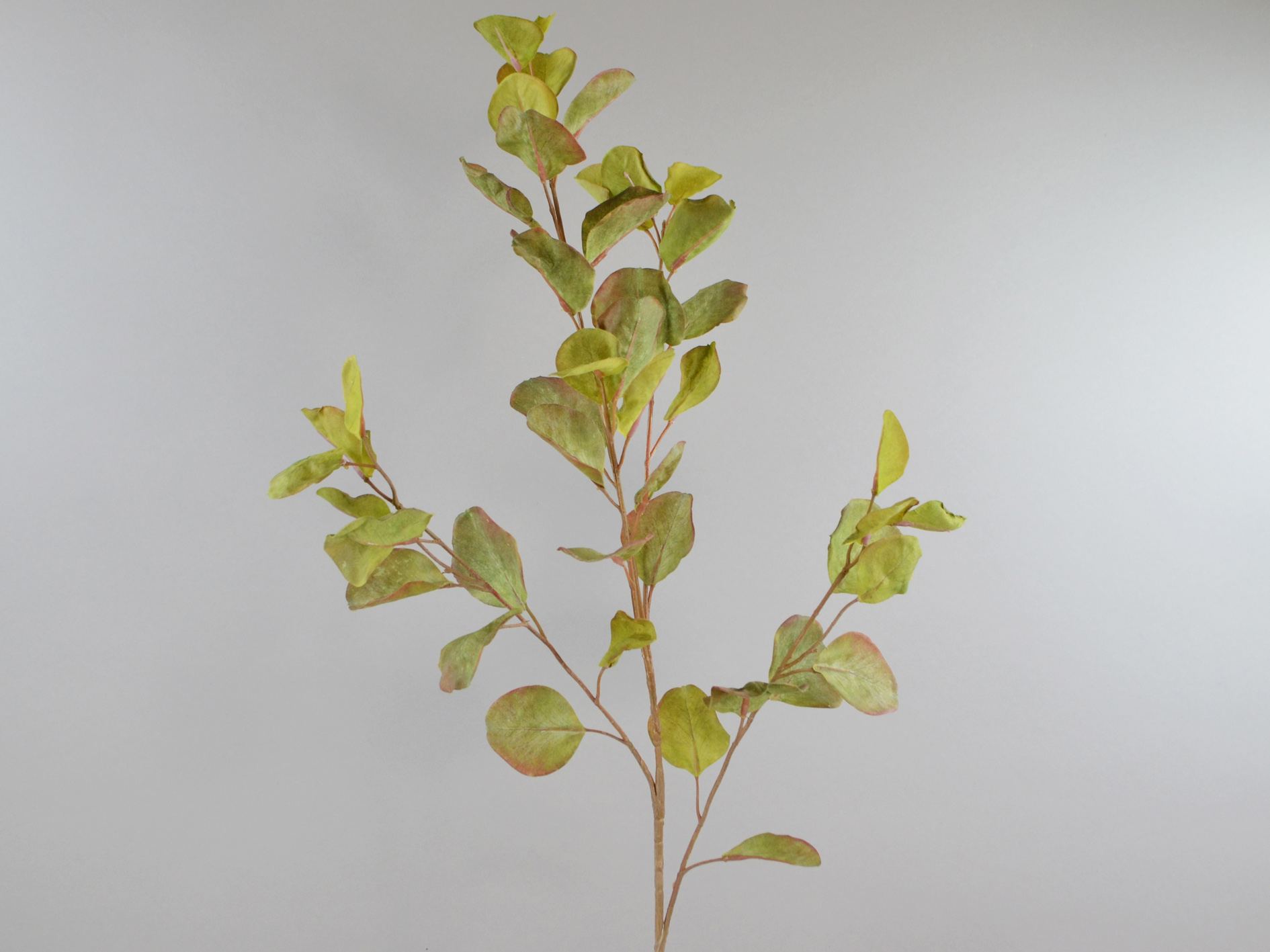 Eucalyptus branch, 96cm, green