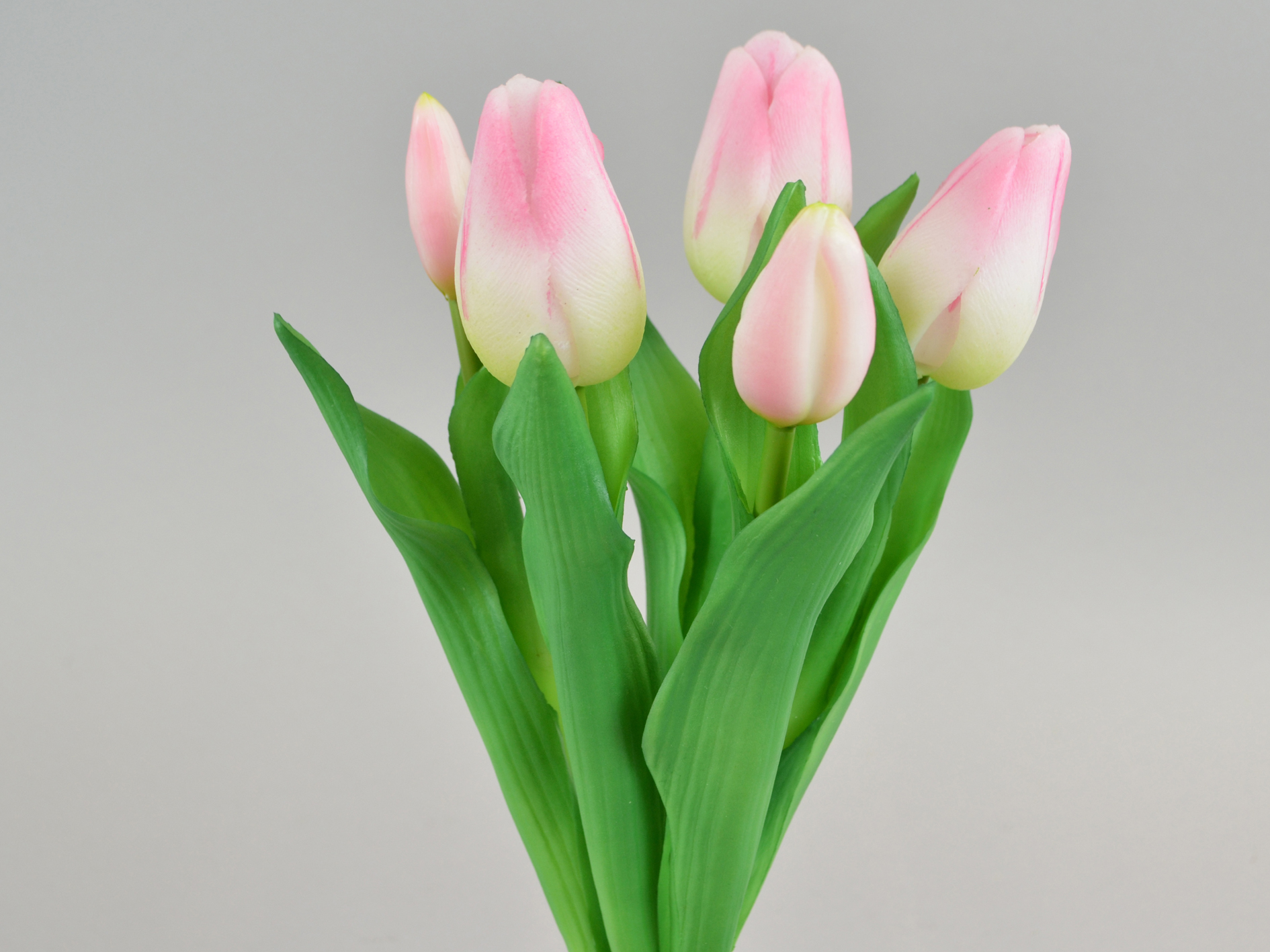 Tulip bud bunch x5, 30cm, soft pink