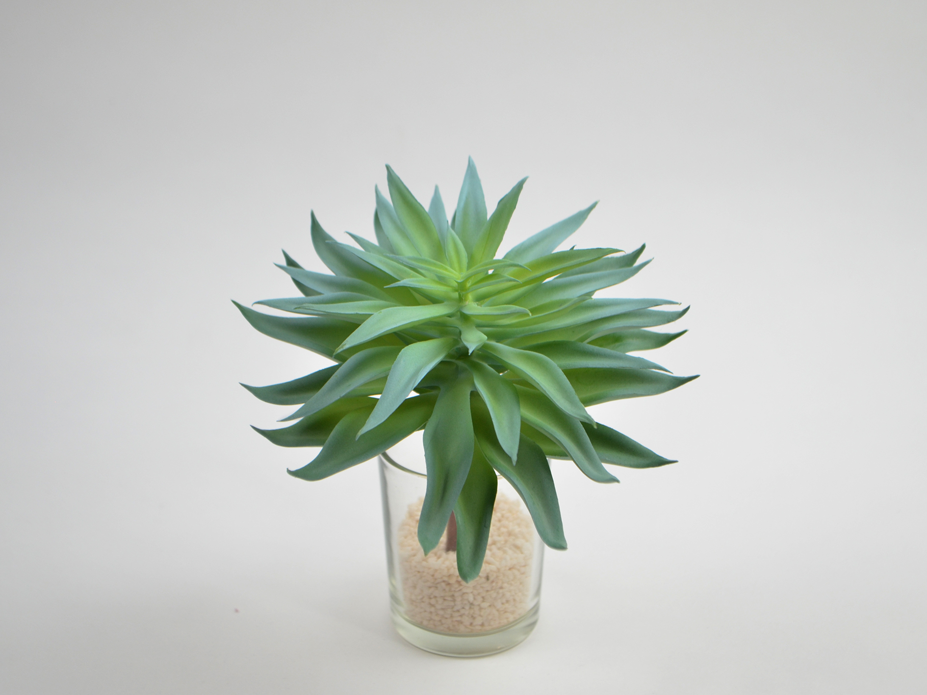 Houseleek pick, 15cm, green