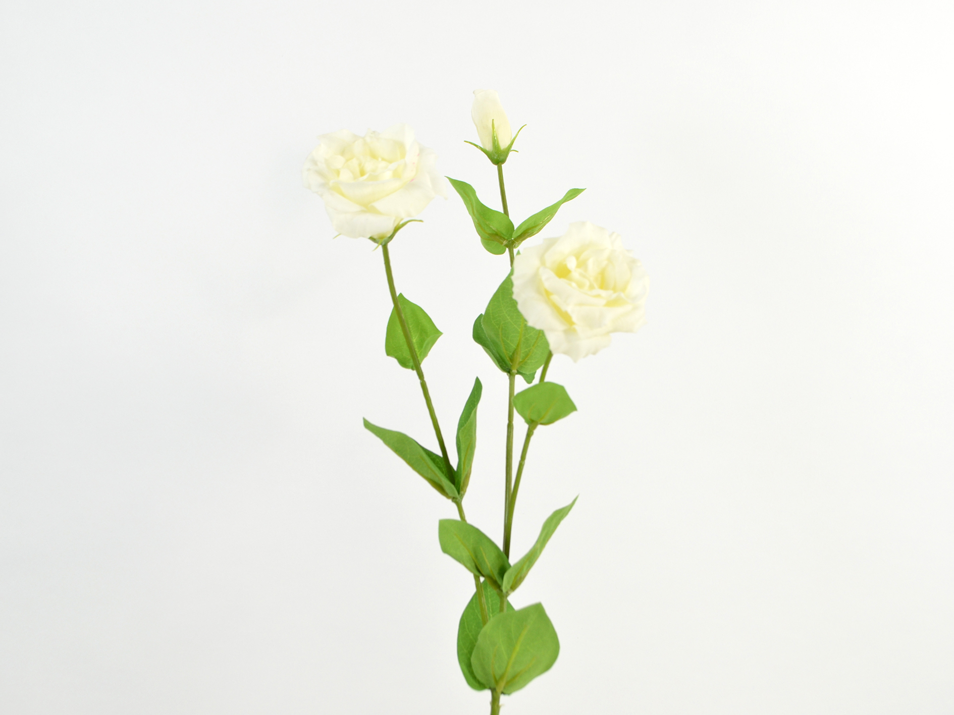 Lysianthus natural touch, 71cm, creme