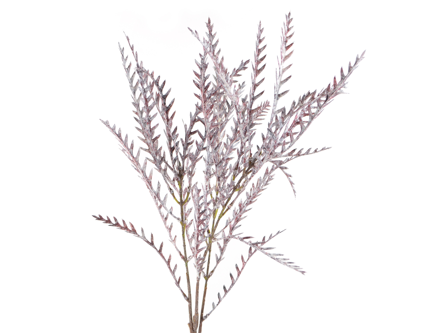 Leaf branch, 79cm, white-purple