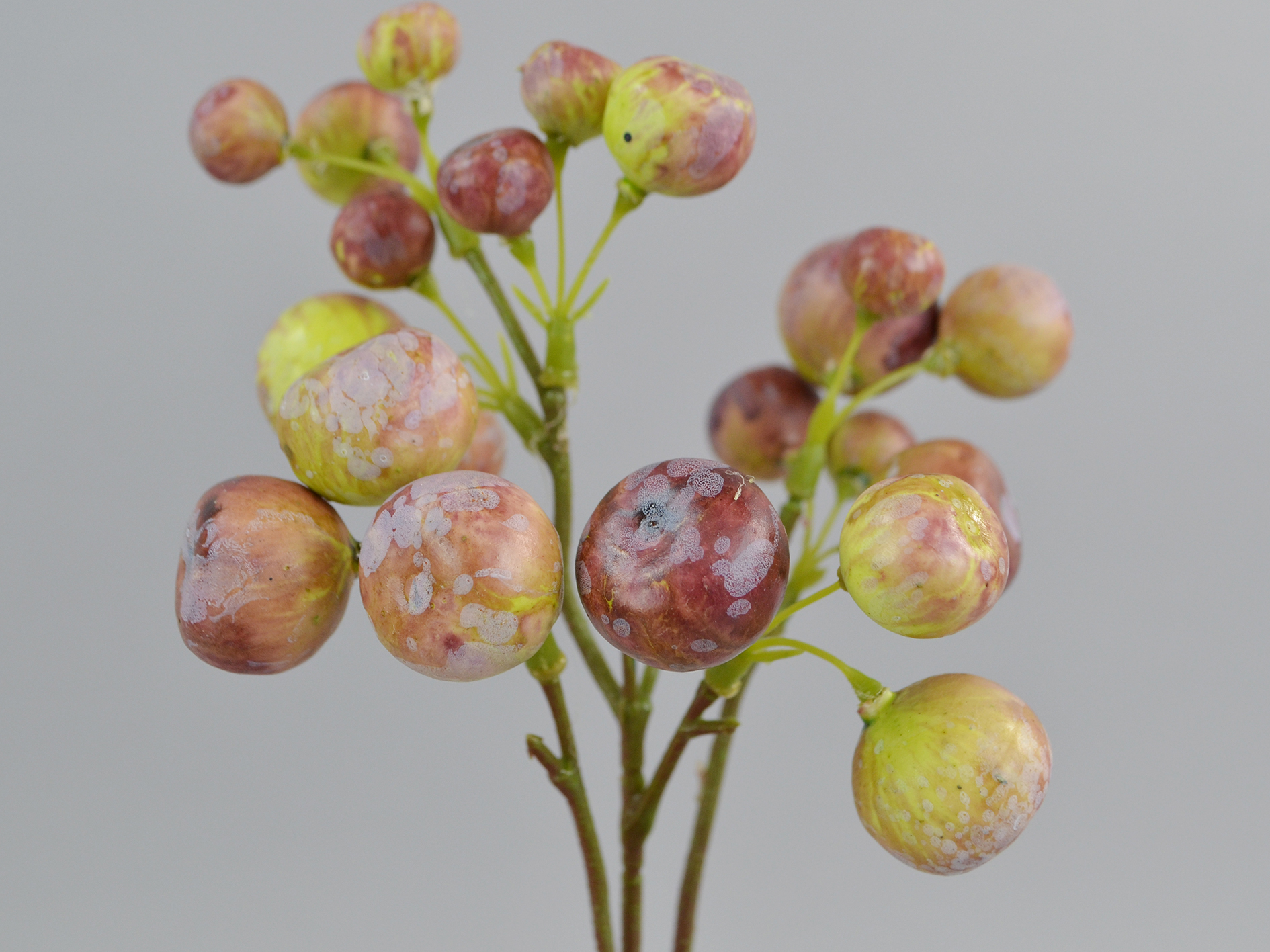 Beeren-Pick, 35cm, lila