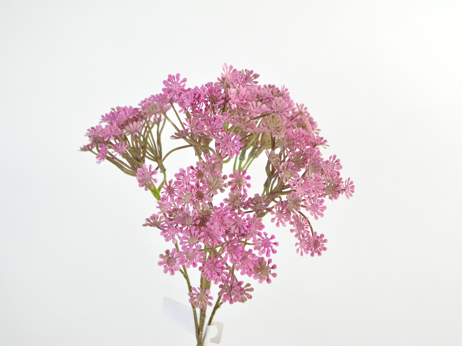 Miniblüten-Zweig, 67cm, beauty