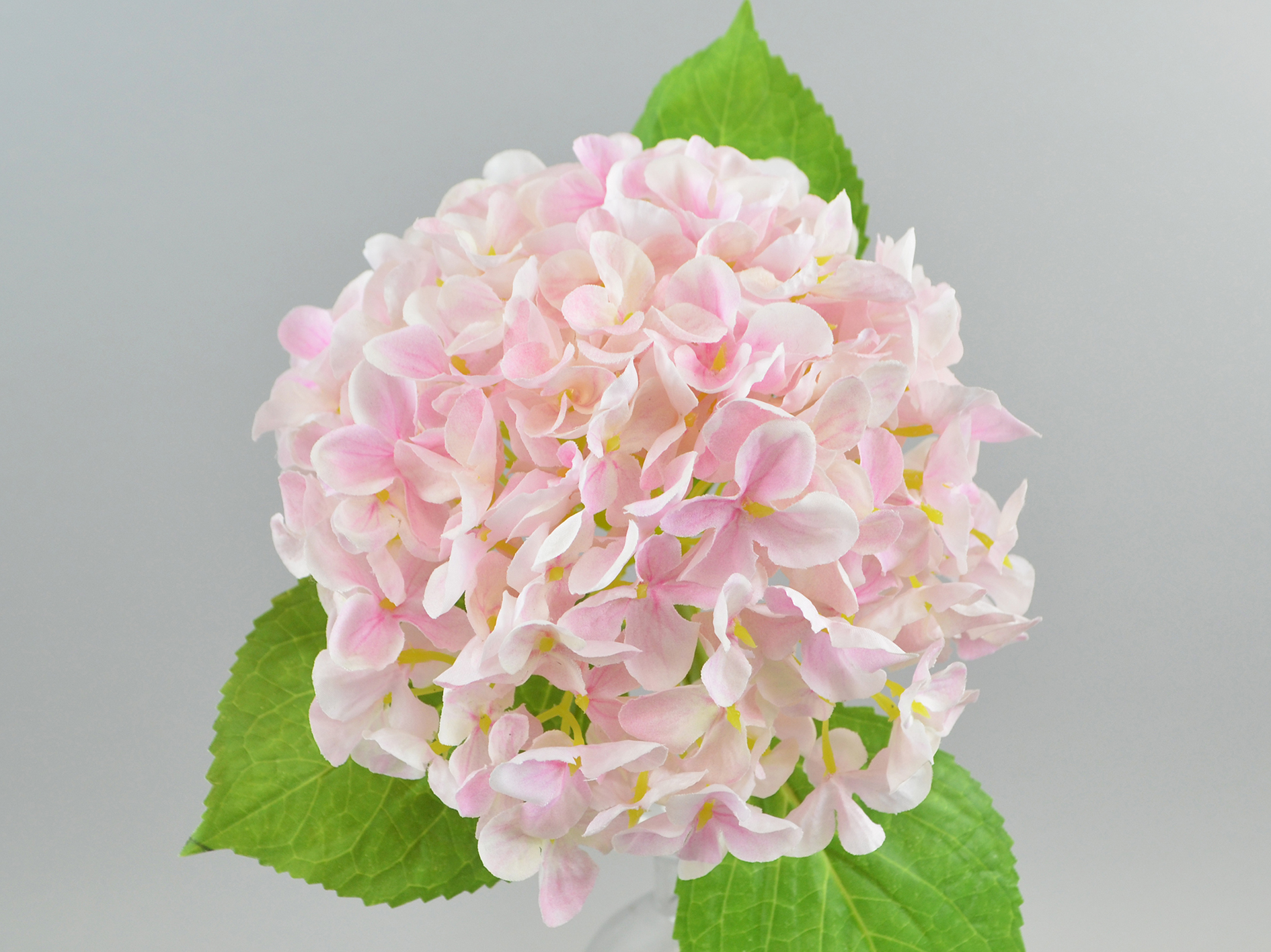 Hydrangea, 44cm, pale pink