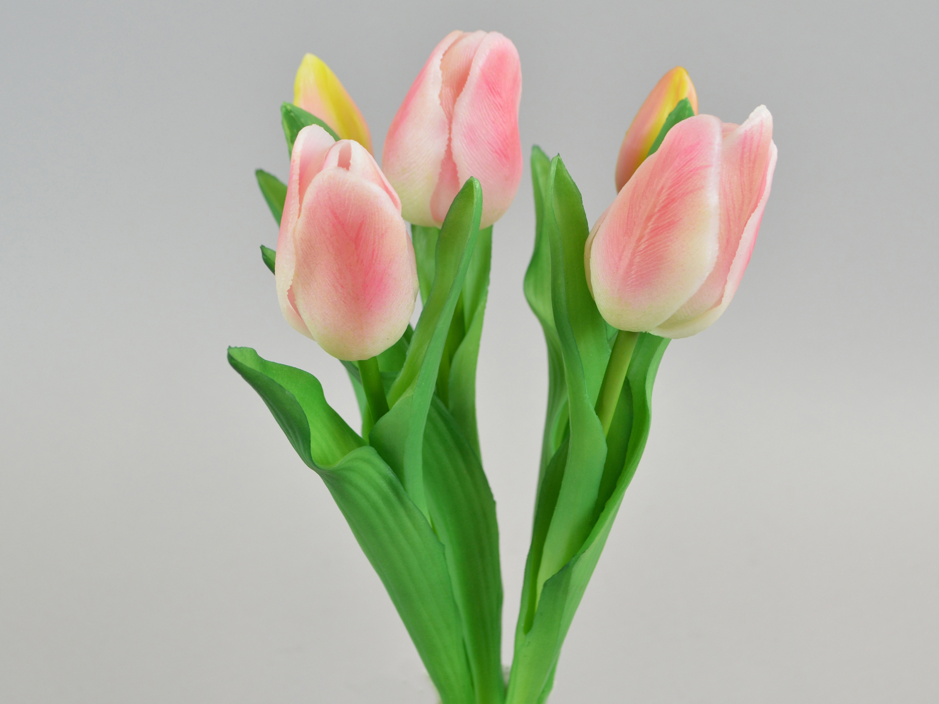 Tulip bud bunch x5, 30cm, pink