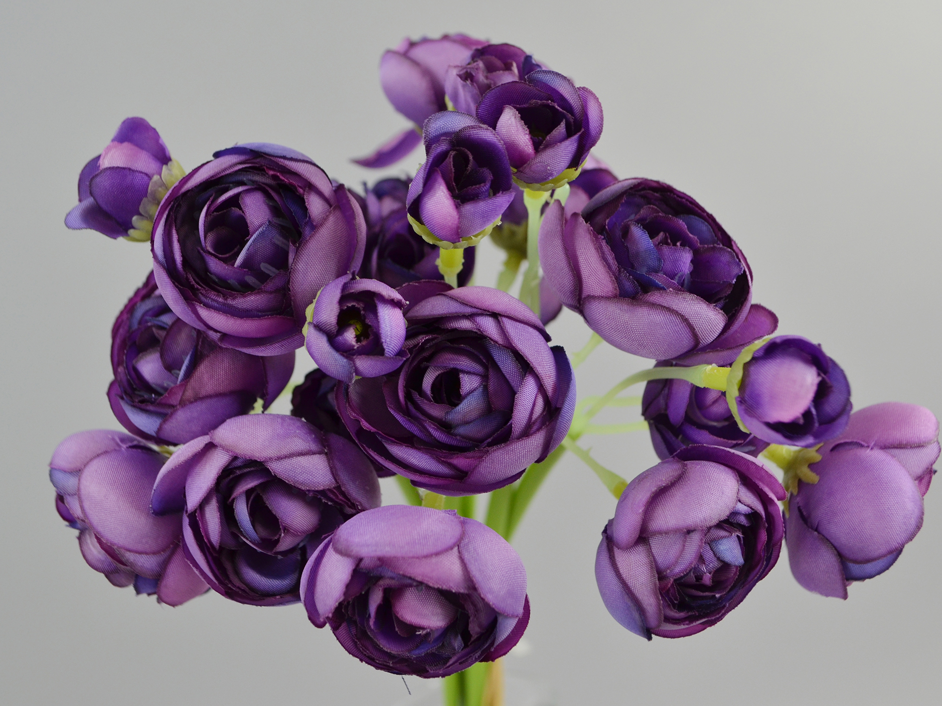Ranunculus bunch, 28cm, purple