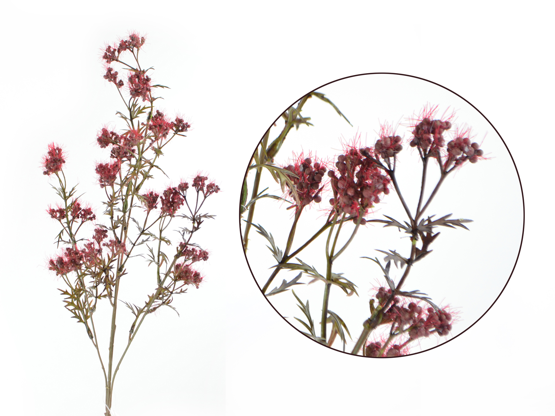 Astilbe branch, 70cm, burgundy