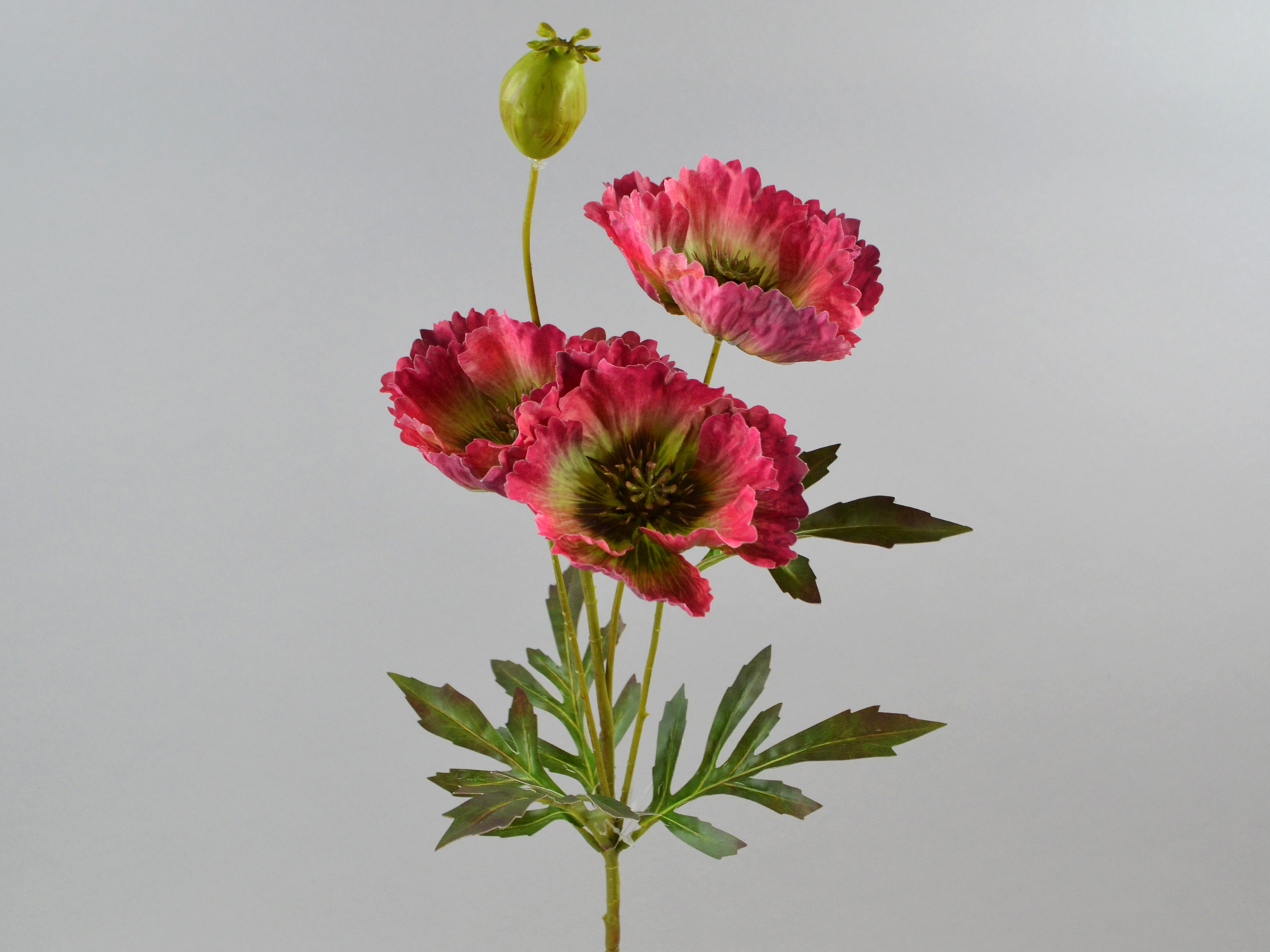 Mohn-Zweig, 3Blüten,1Knospe, 69cm, rot