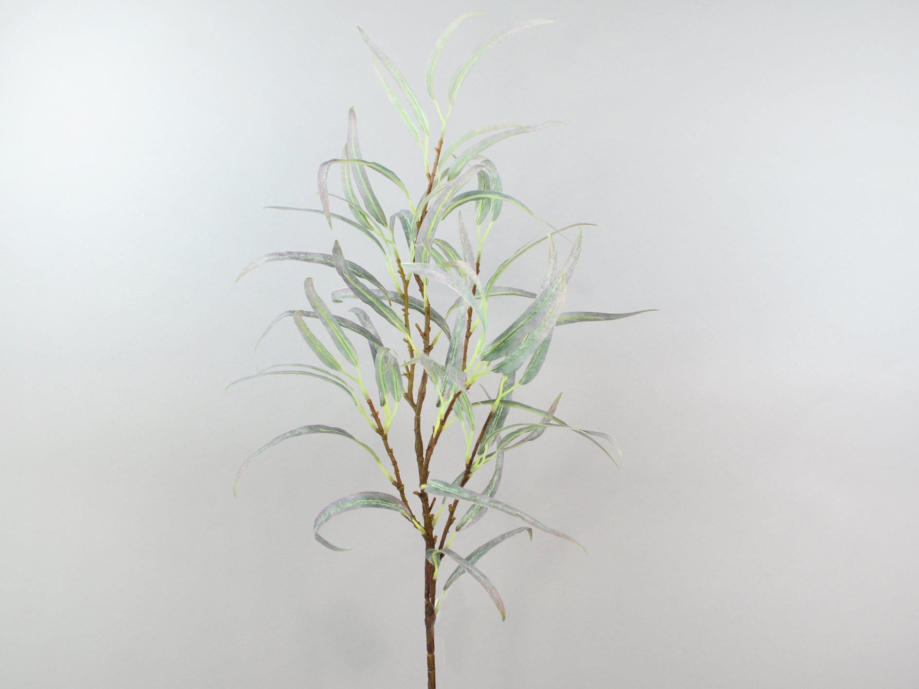 eucalyptus branch, 89cm, green