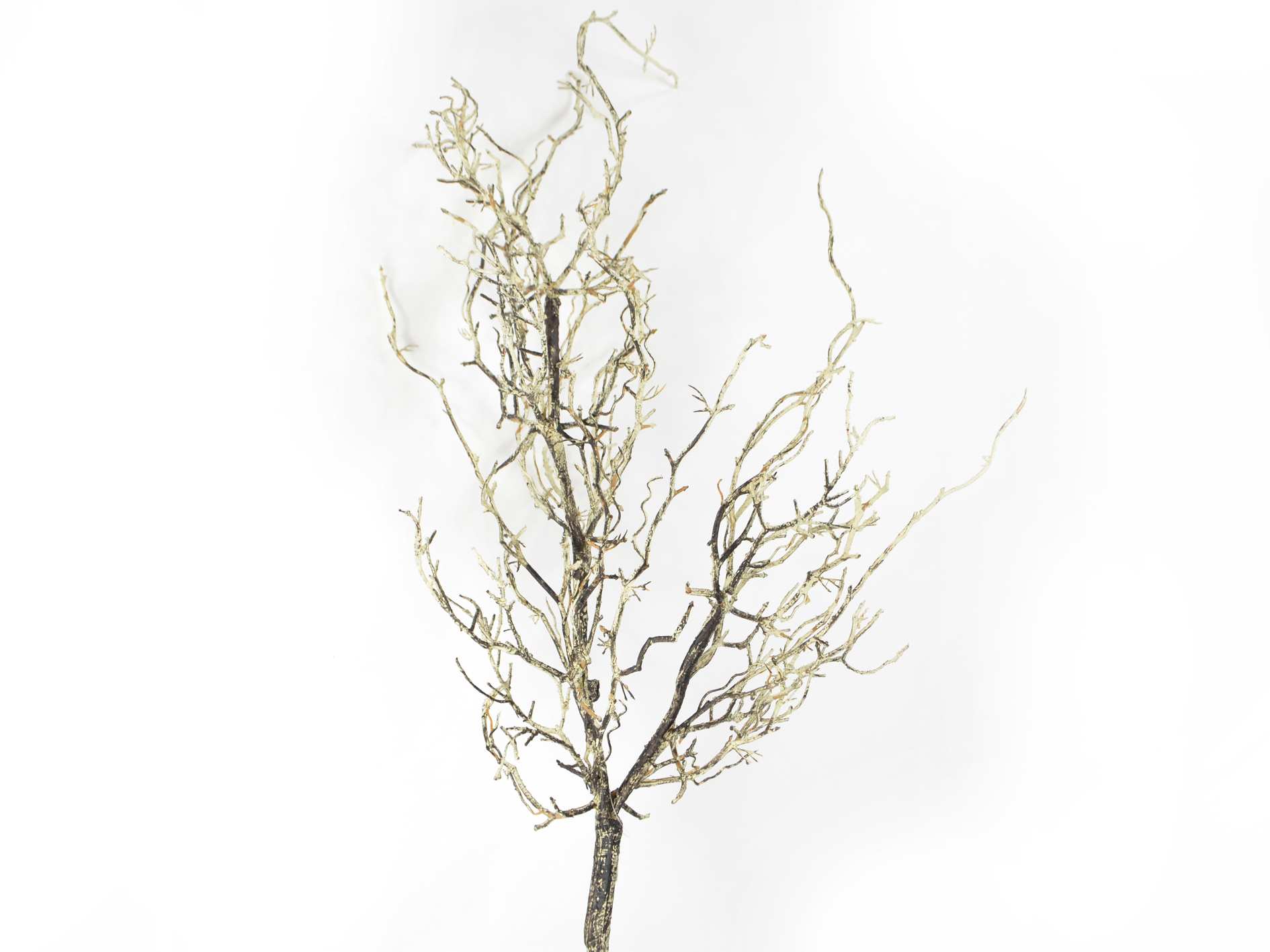 Ast verzweigt, 118cm, creme