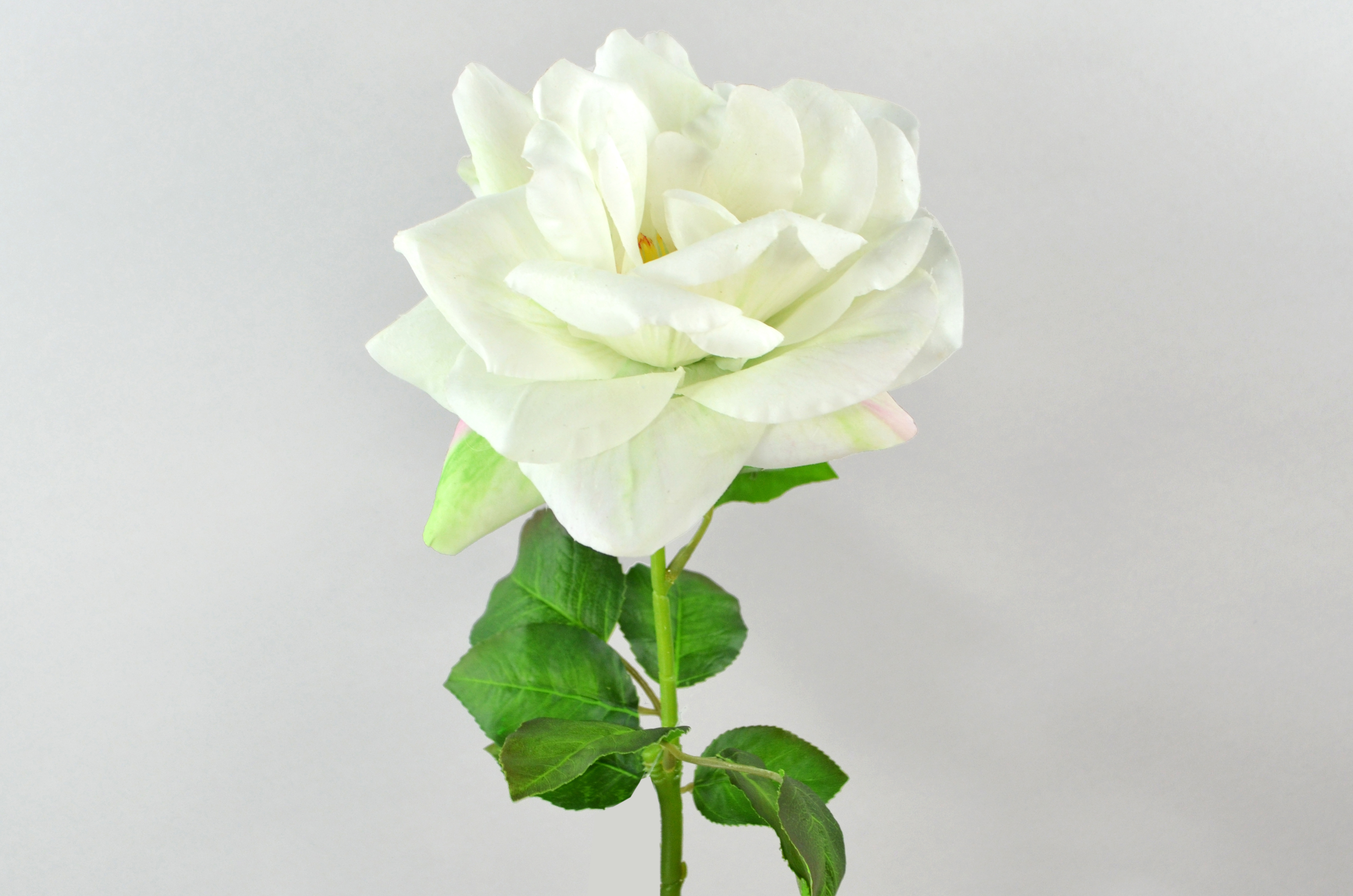 Rose branch x1, real touch, 70cm, white