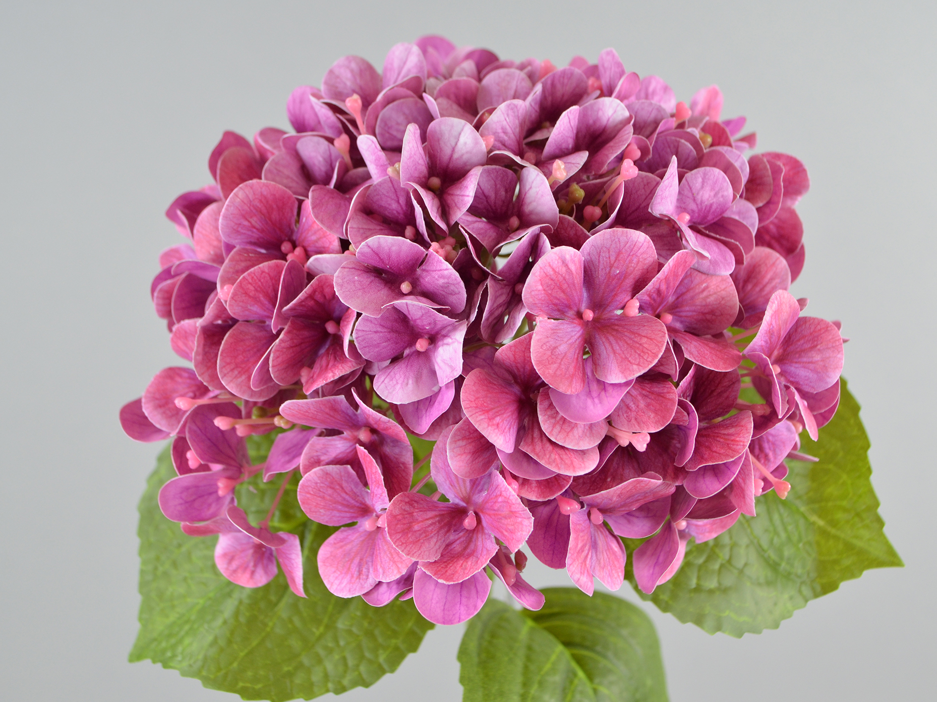 Hortensien-Zweig, natural touch, 62cm, lila