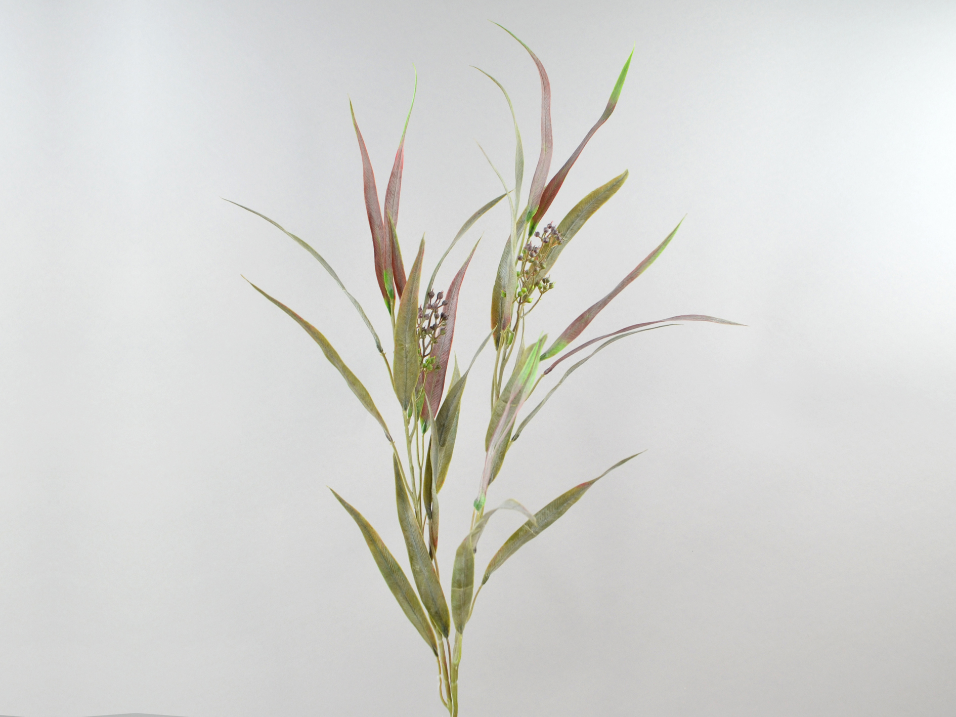 Eucalyptus branch with berries, 81cm, green