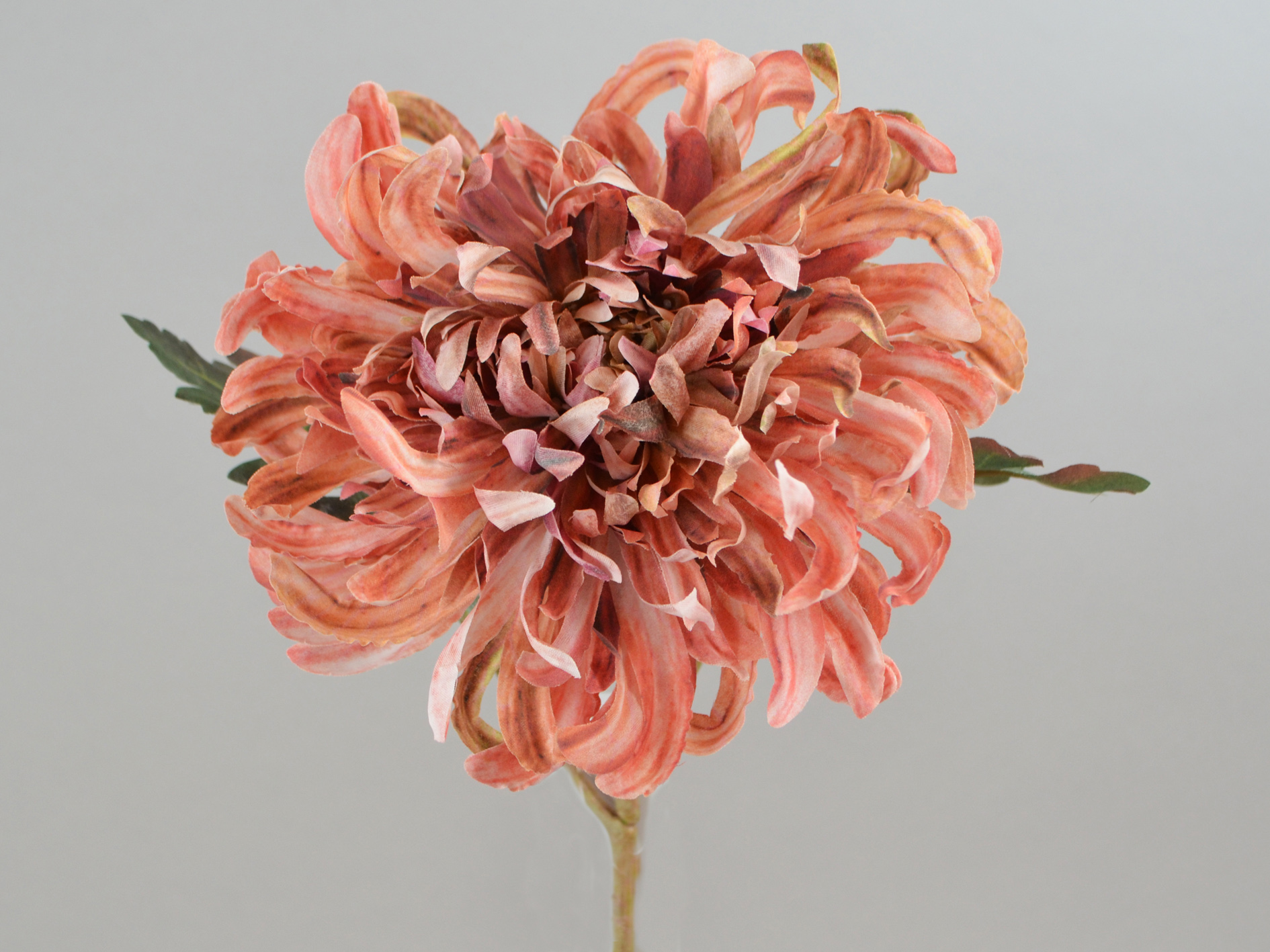 Chrysanthemum branch, 55cm, pink