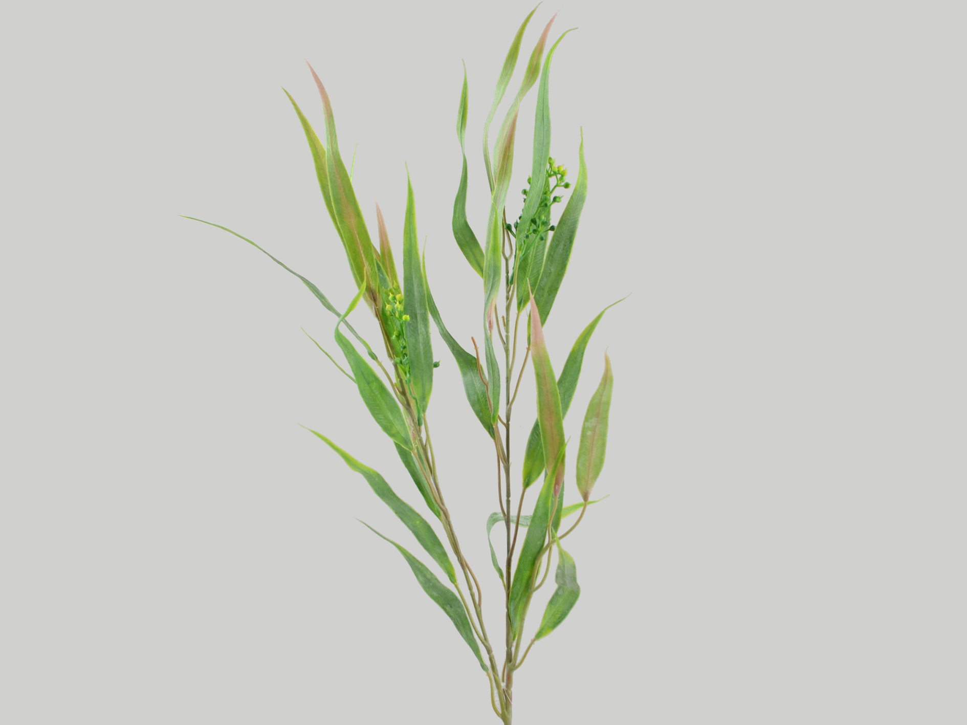 Eucalyptus branch, 80cm, green-mauve