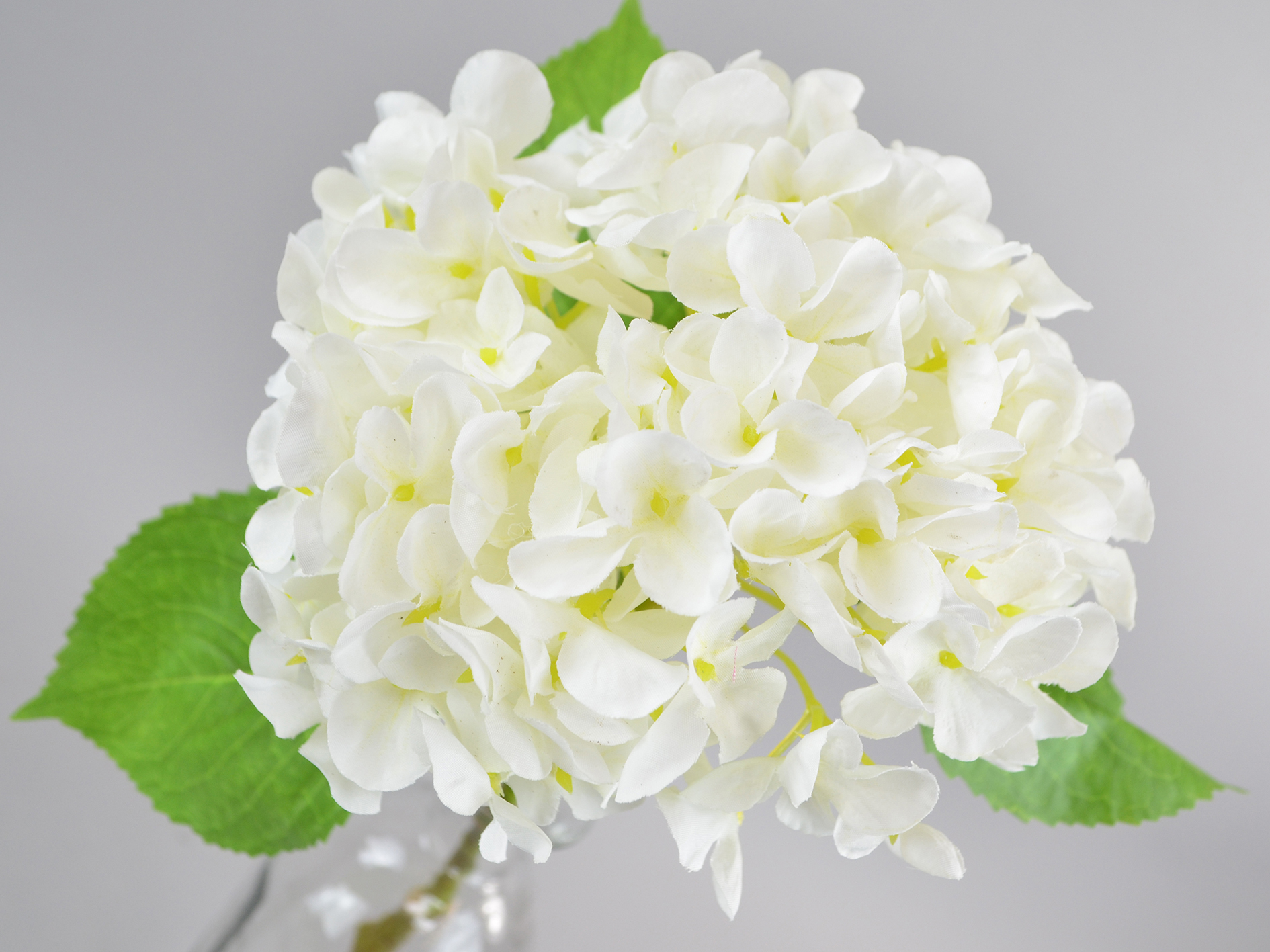 Hydrangea branch, 45cm, white