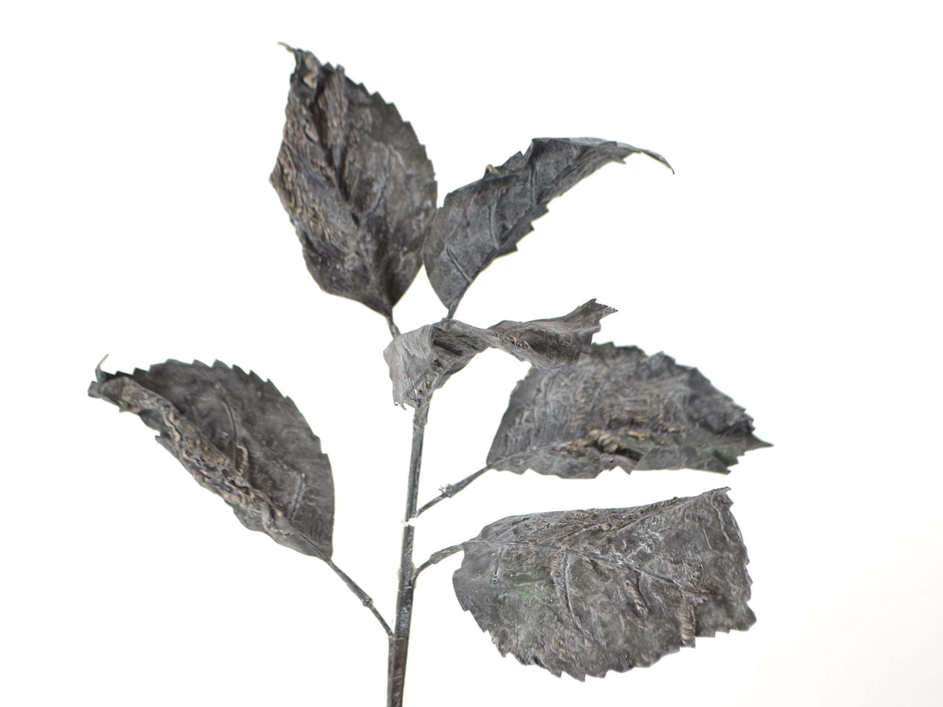 Leaf pick, 42cm, black