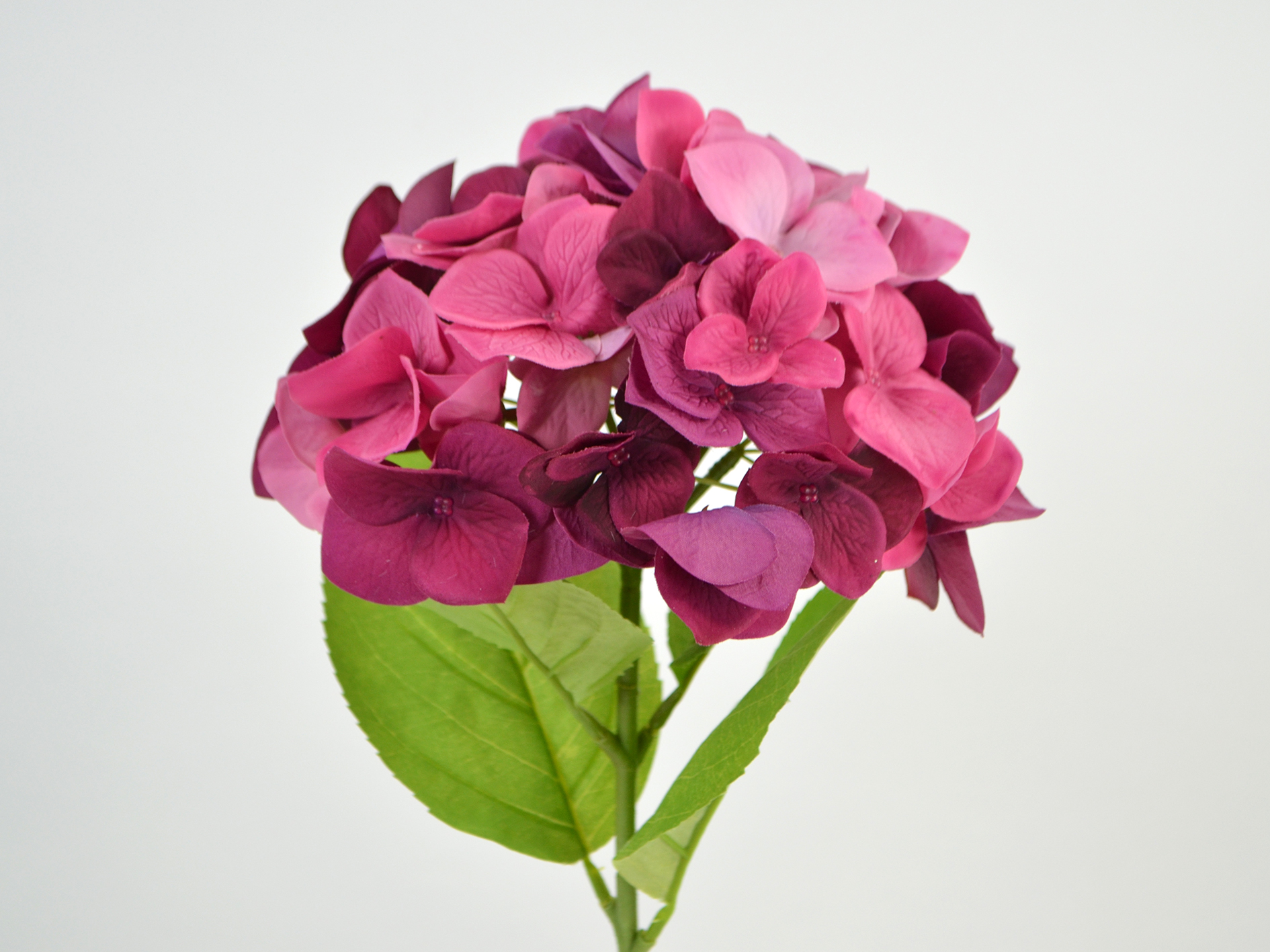 Hortensie, natural touch, 46cm, fuchsia-pink