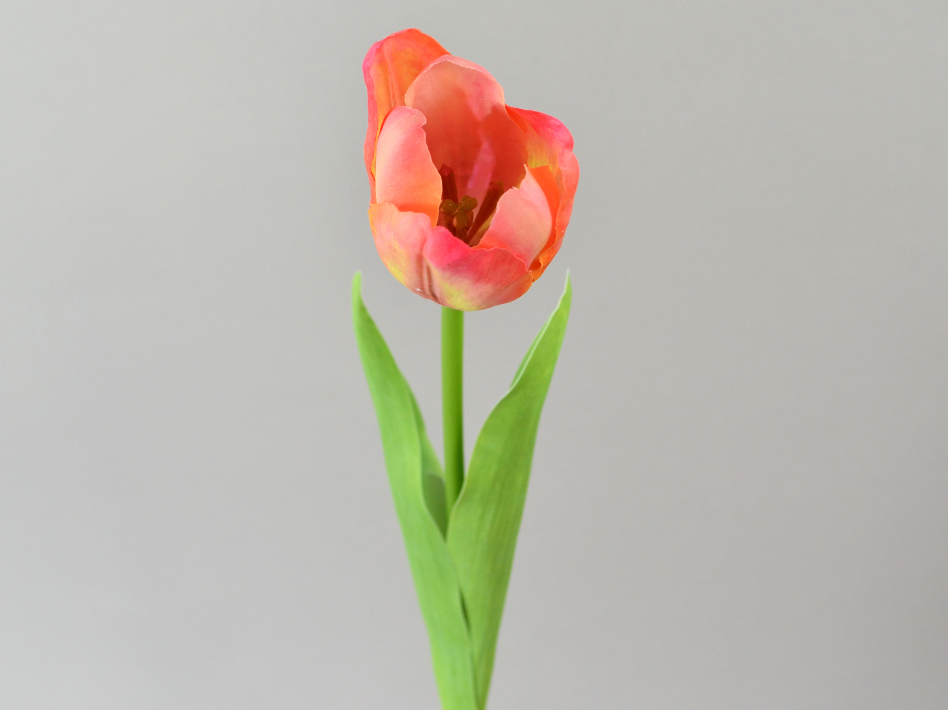 Tulip x1, real touch, 42cm, fuchsia