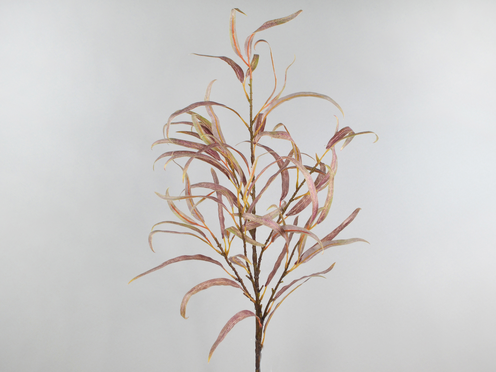 Eucalyptus branch, 89cm, pink