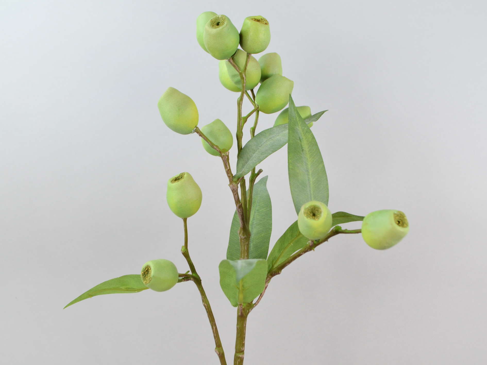 Eukalyptus-Beeren-Zweig mit Früchten, 68cm, grün