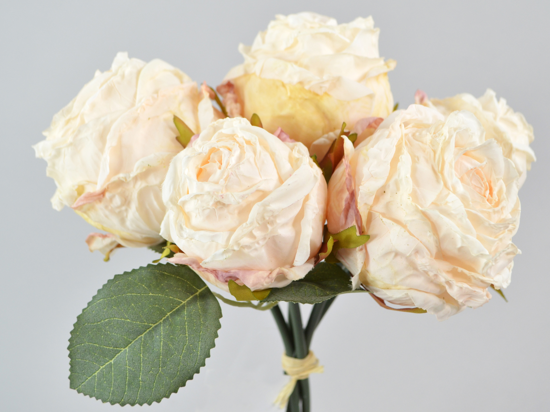 Rose bunch x5, 30cm, cream