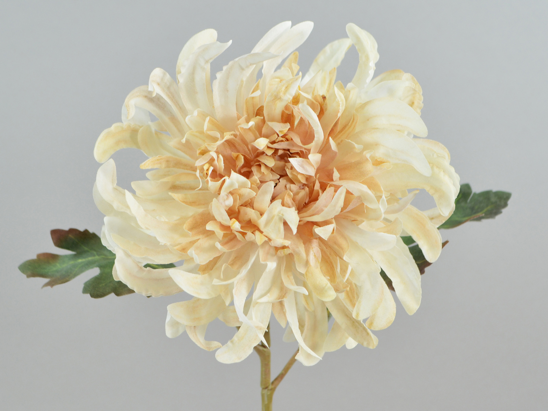 Chrysanthemum branch, 55cm, cream