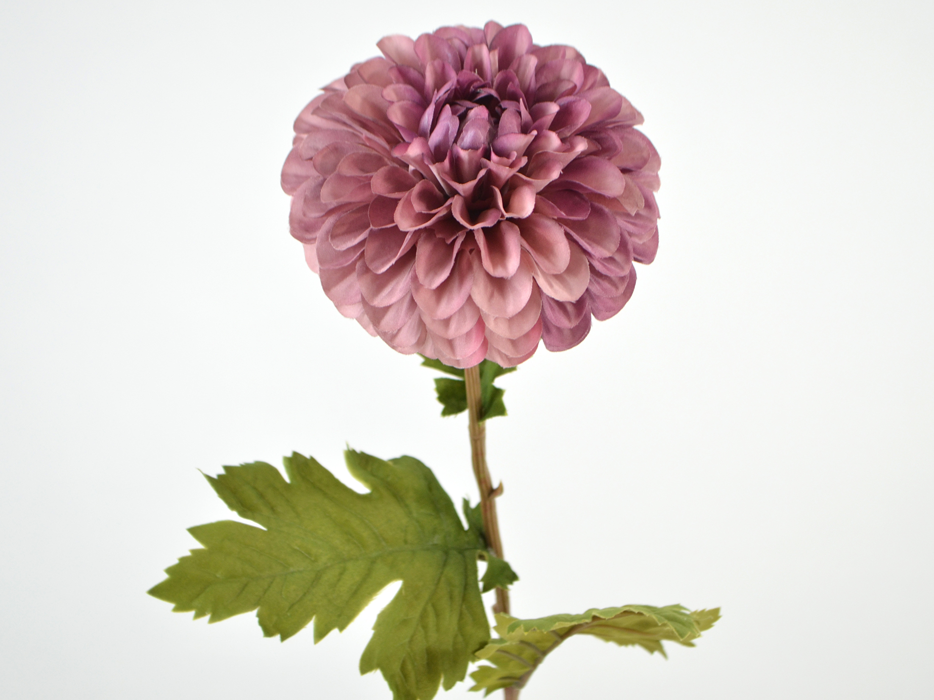Dahlia branch, 74cm, mauve