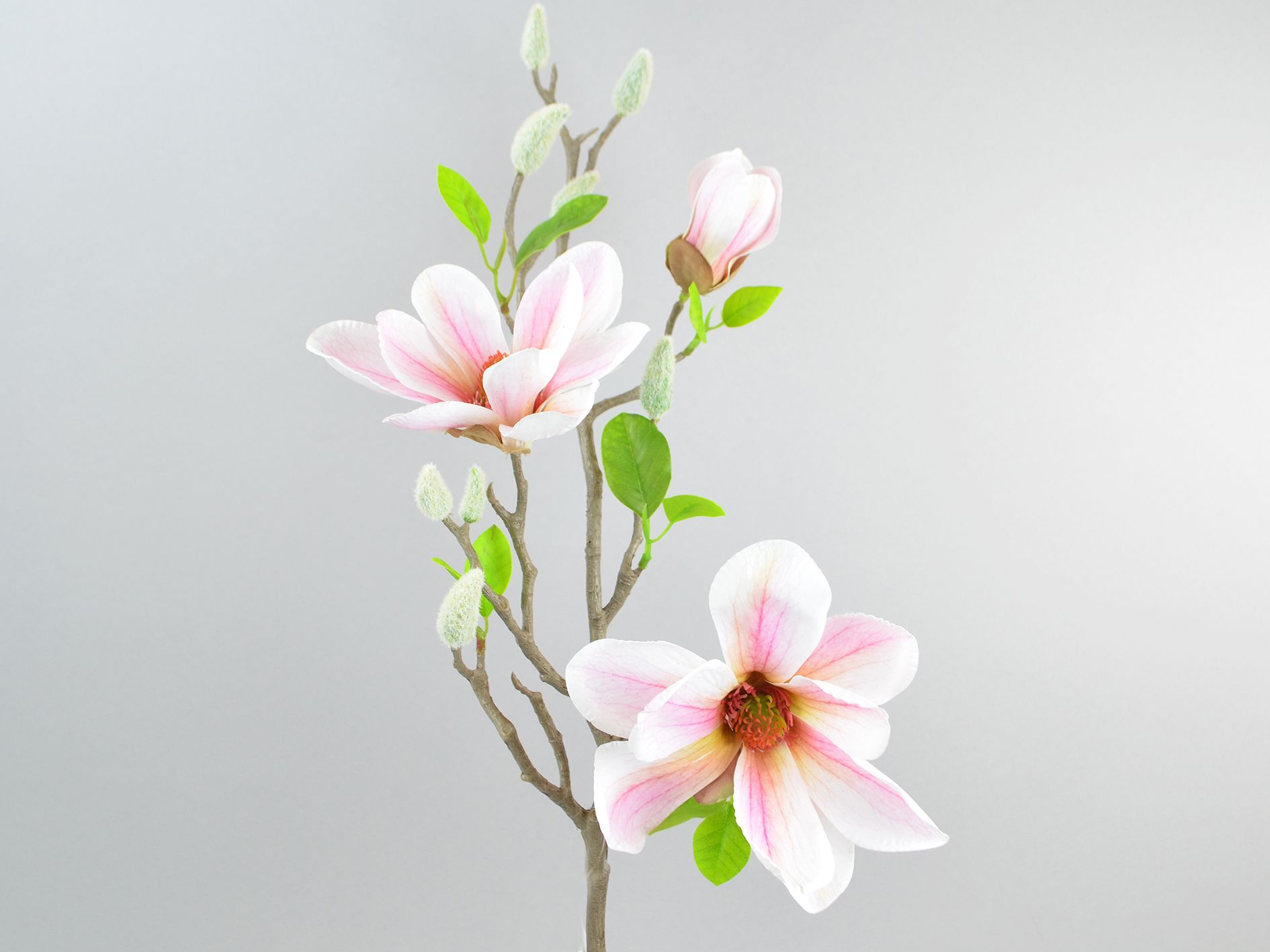 Magnolia branch, 75 cm, white-pink