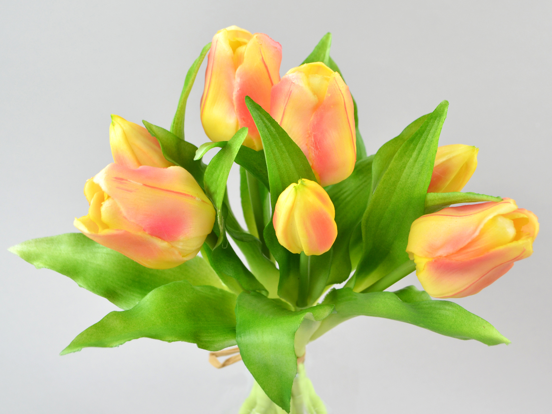 Tulip bunch x7, 30cm, peach