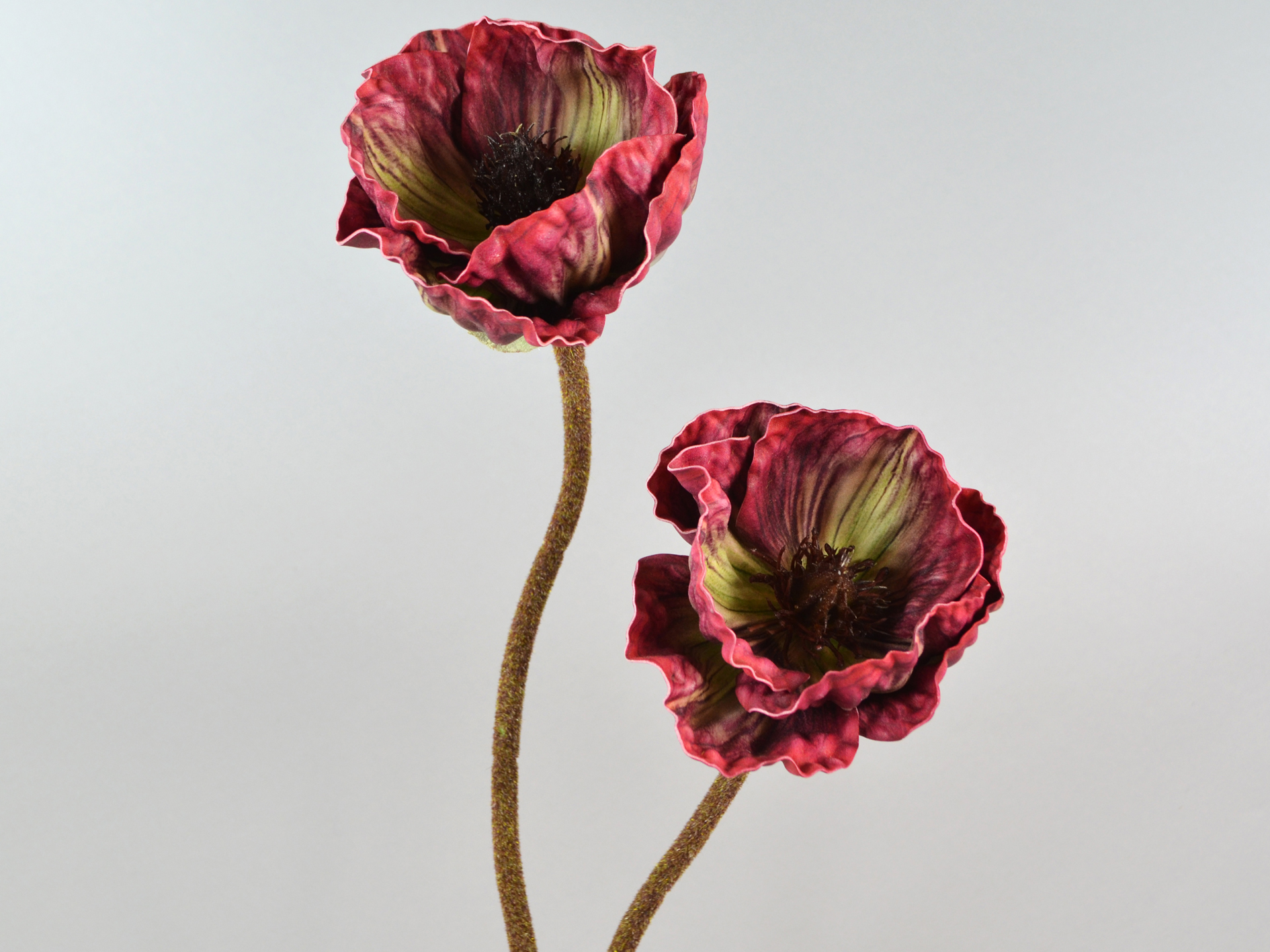 Mohn-zweig x2, 71cm, burgund