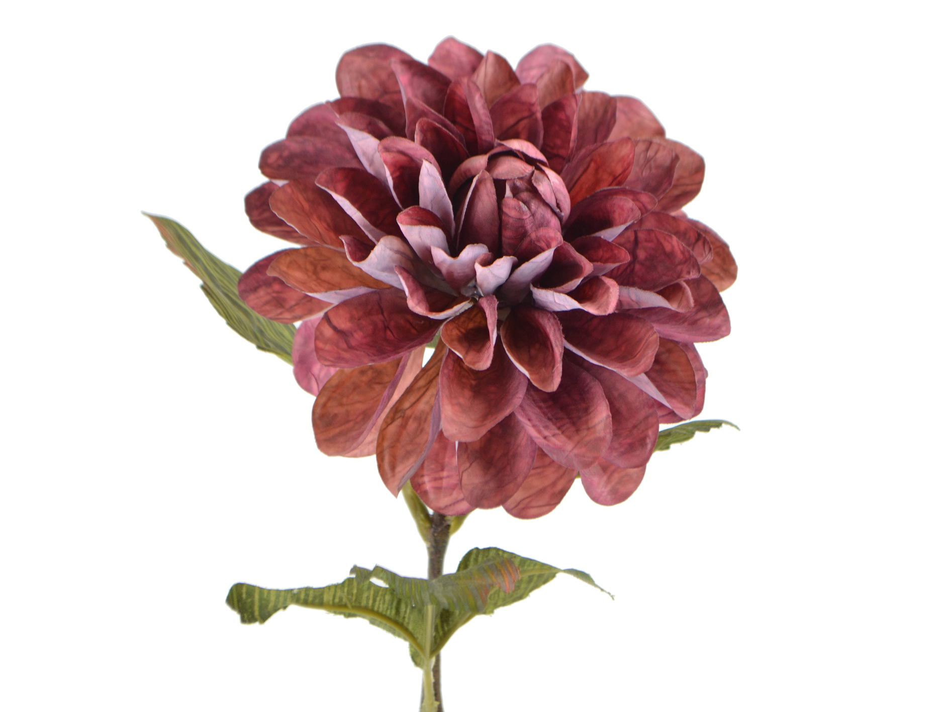 Dahlia branch, 56cm, burgundy-purple