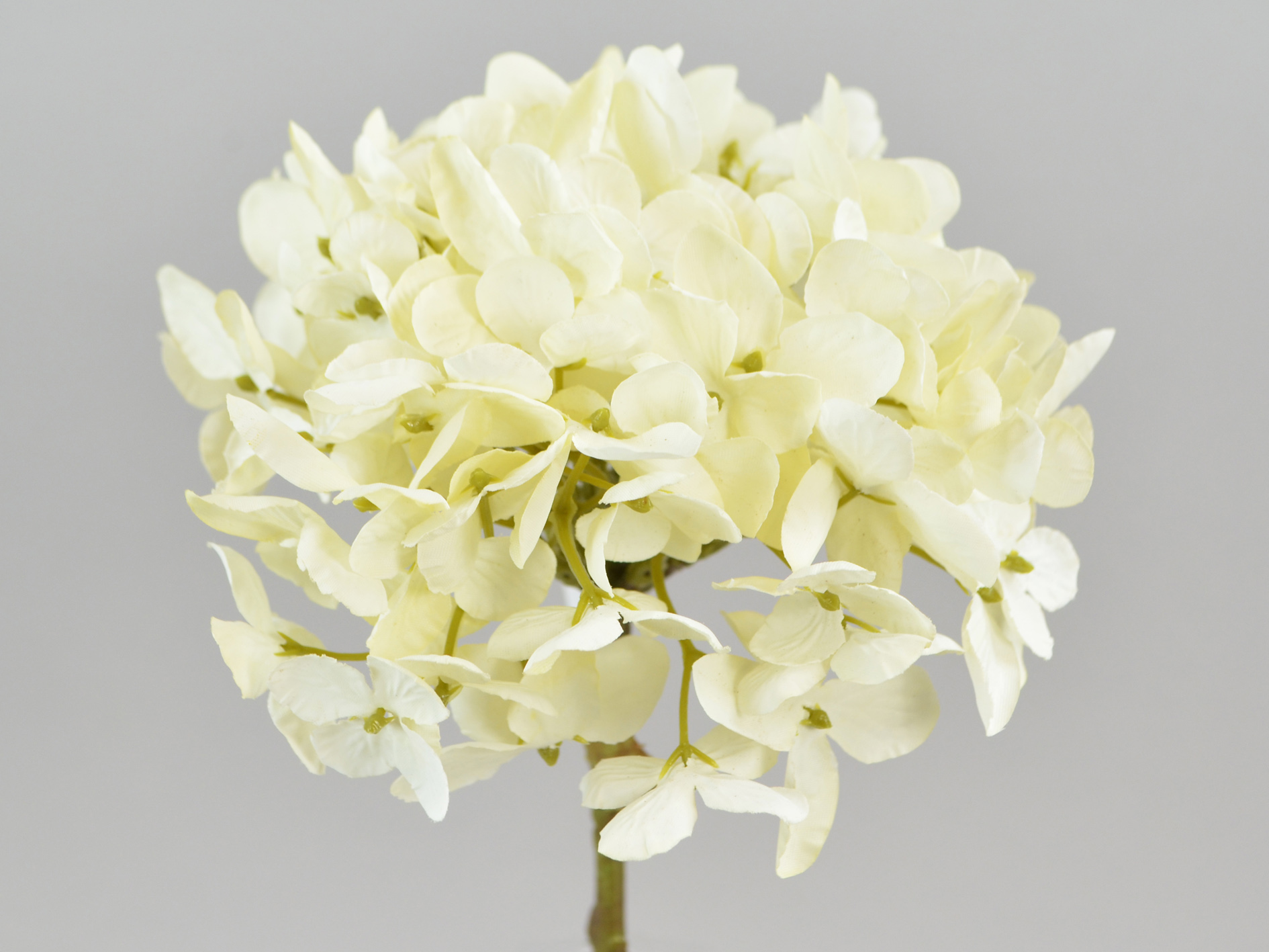 Hydrangea branch, 43cm, cream
