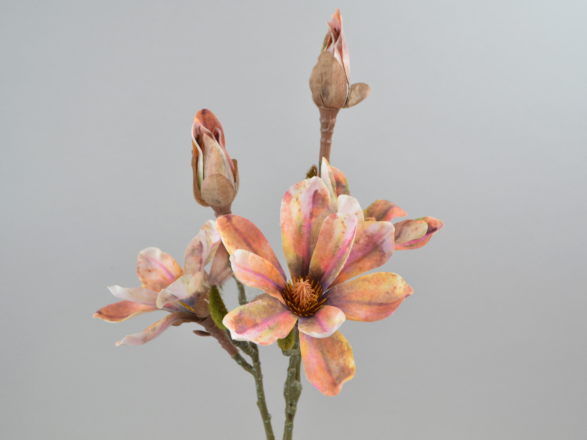 Magnolia branch 3 flowers 2 buds, 55cm, pink