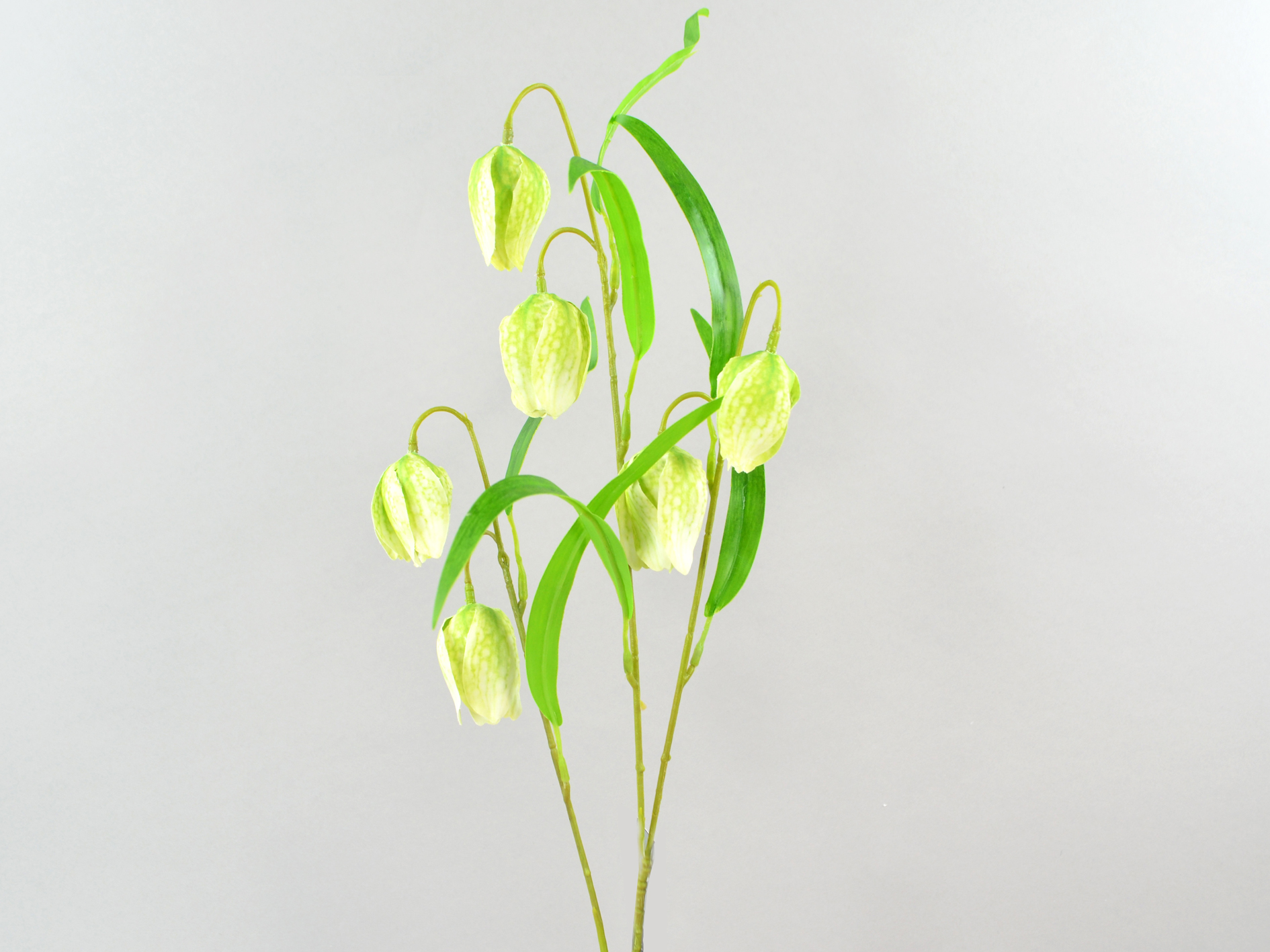 Fritilaria branch, 60cm, green