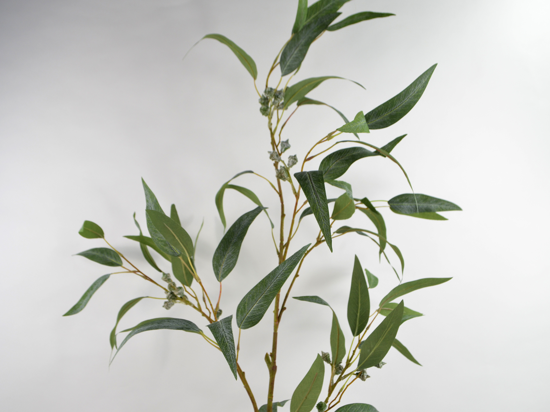 Eucalyptus branch with berries, 121cm, green