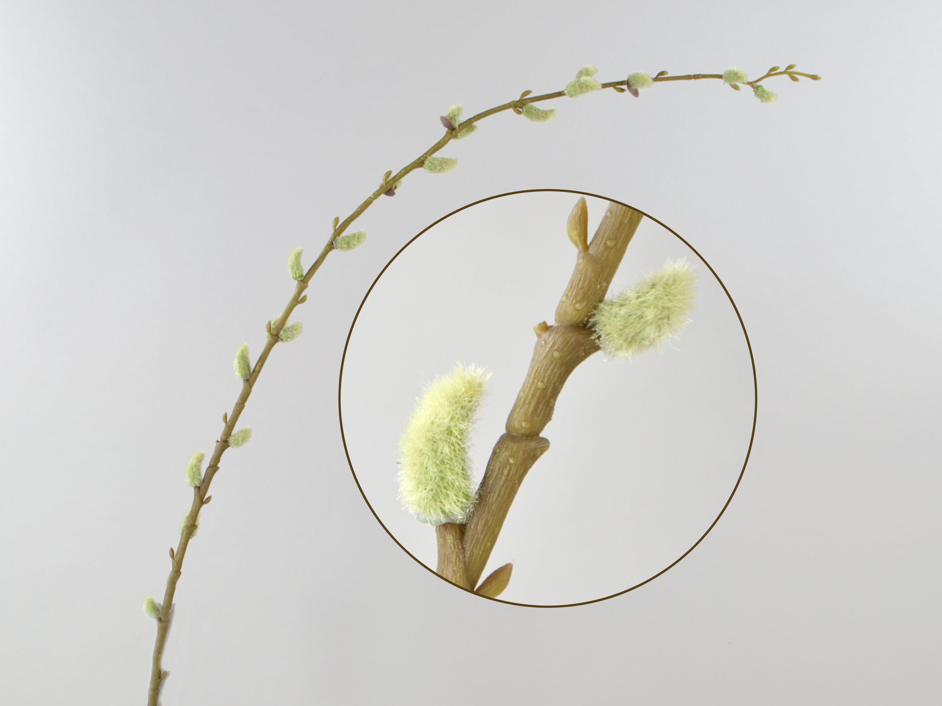 Pussy Willow Branch, 107cm, Green