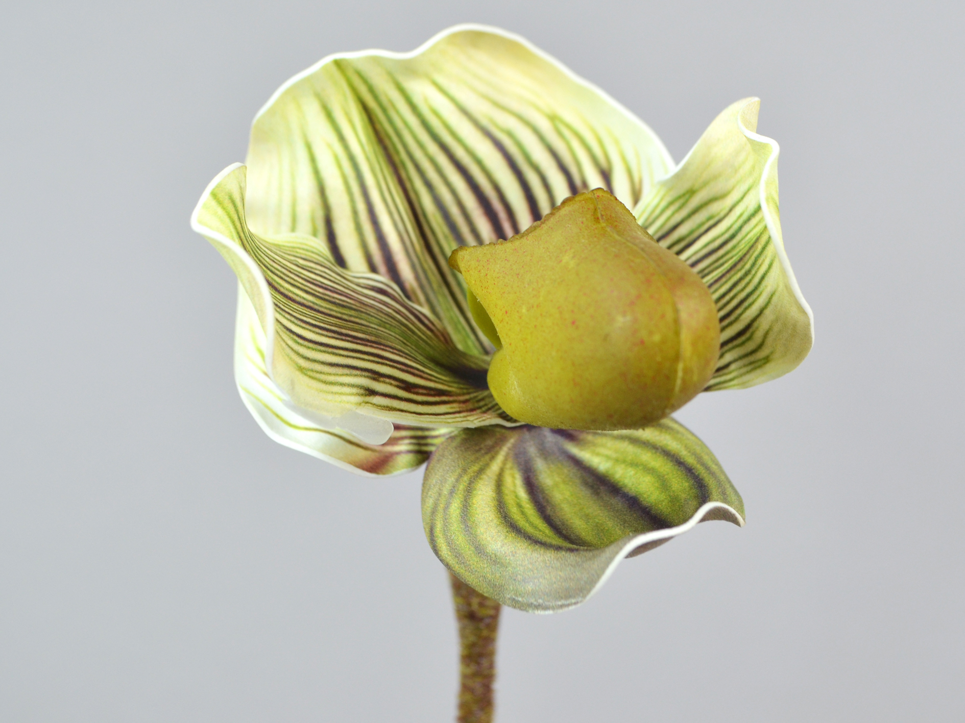 Orchid branch, 49cm, light green