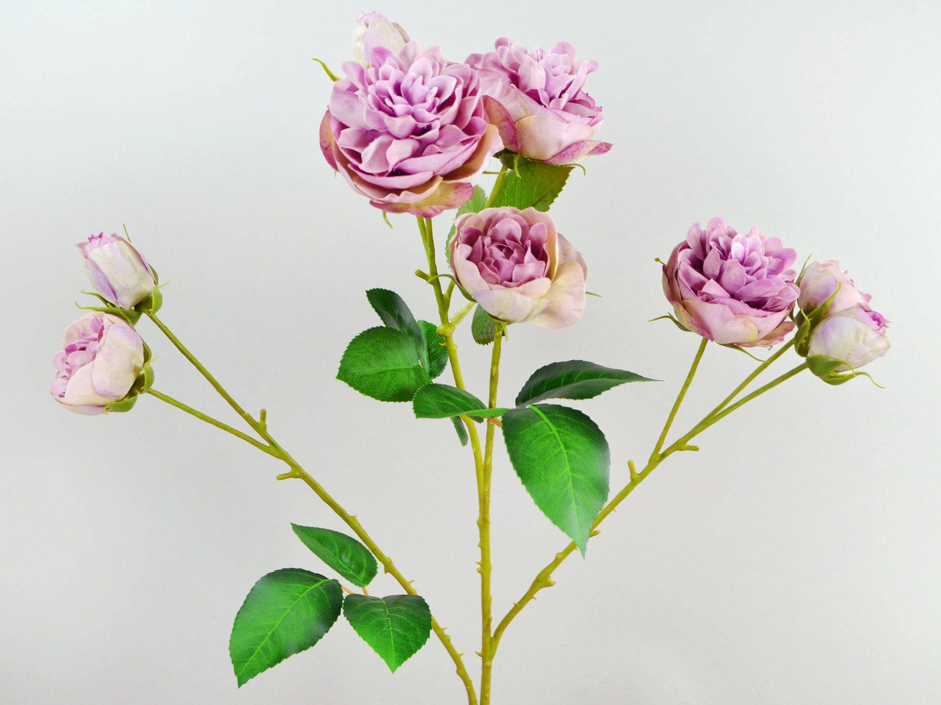 Rosen-Zweig x9, 64cm, malve