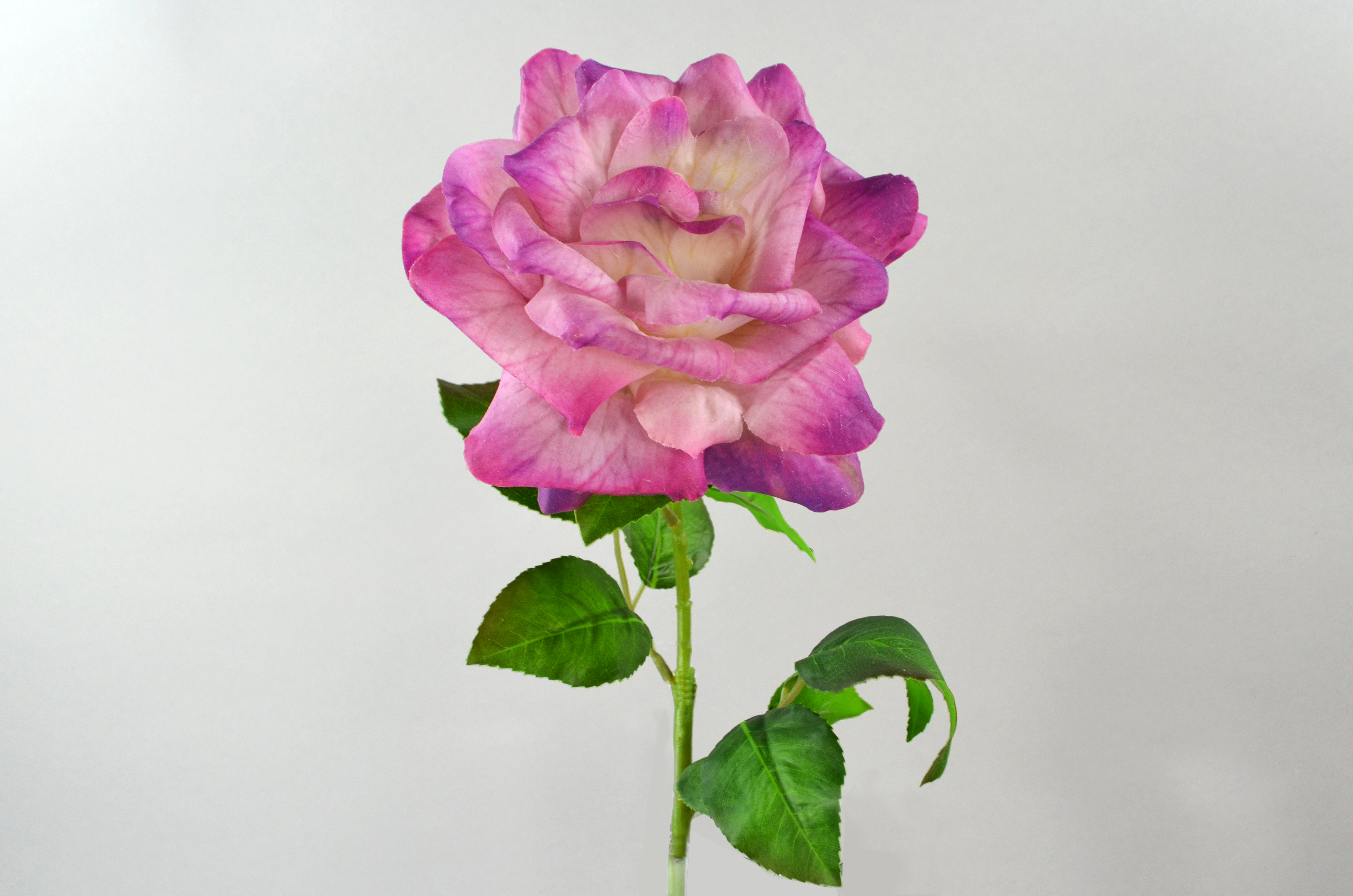 Rose branch x1, real touch, 70cm, purple