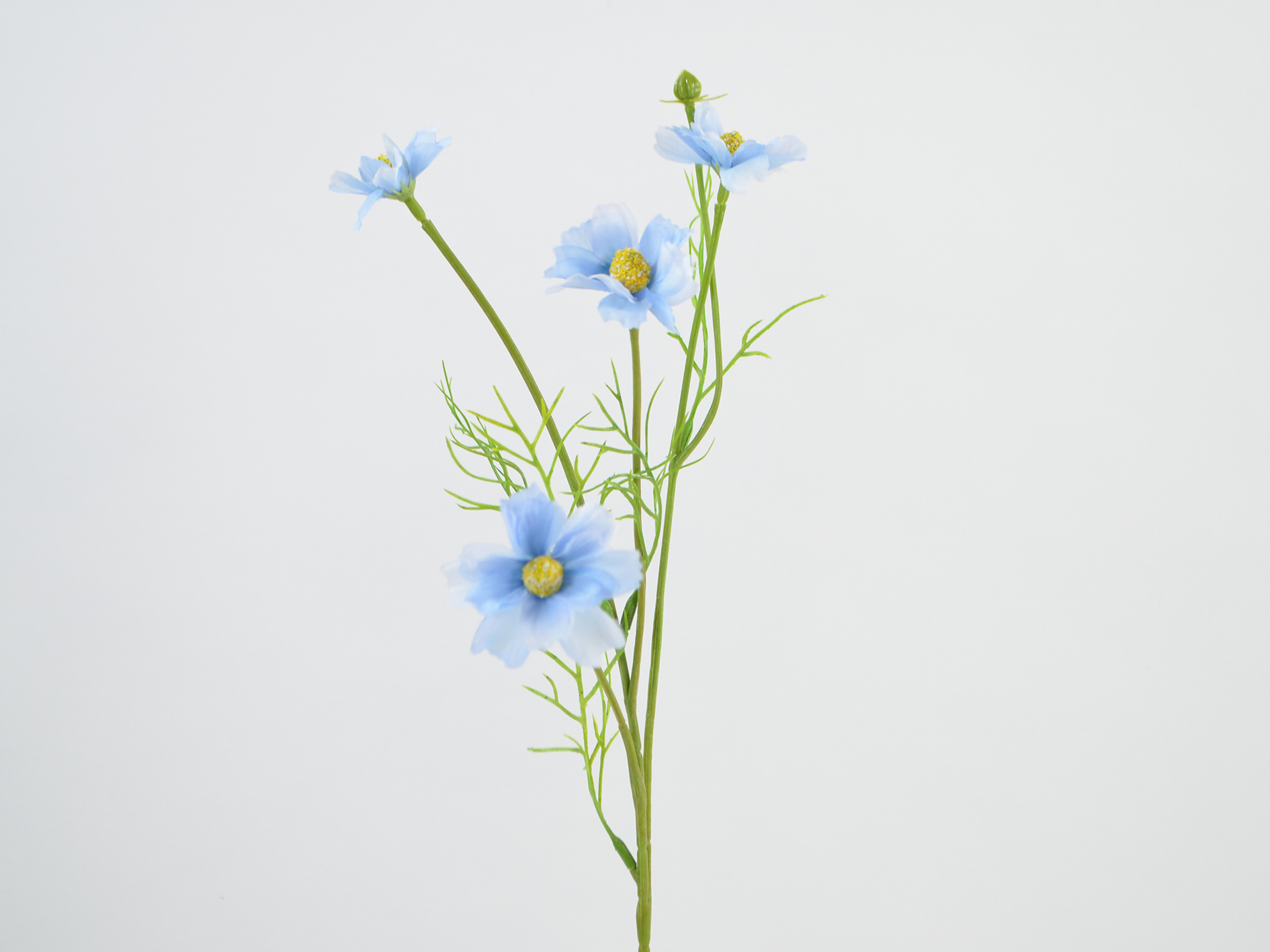 Cosmea-Zweig, 48cm, blau