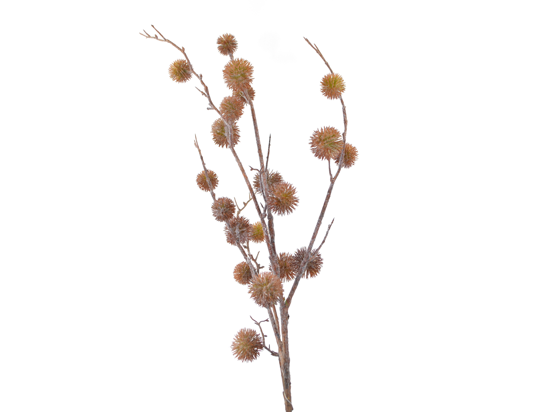 Pompom-Zweig, 96cm, coffee