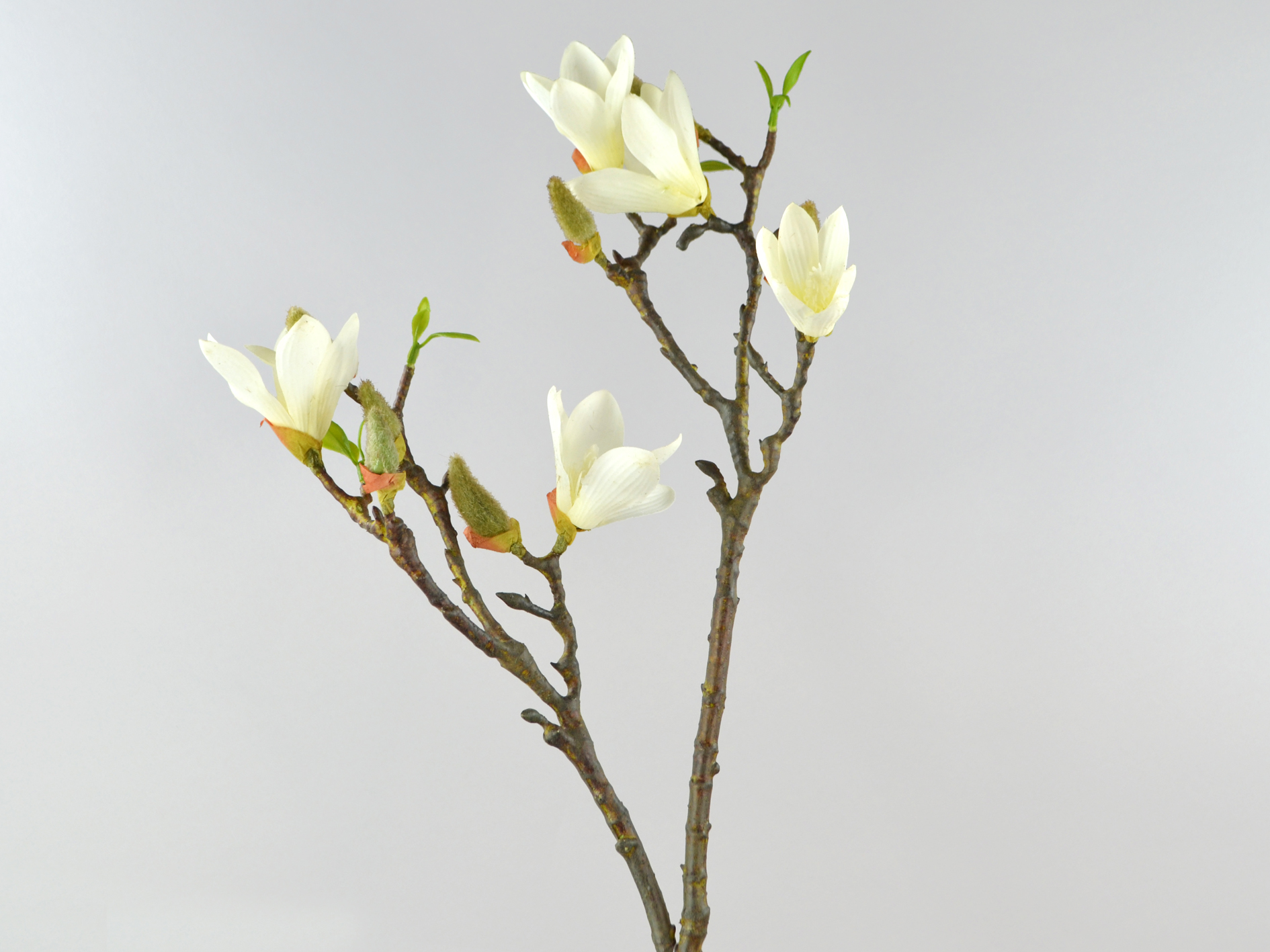 Magnolien-Zweig, 80cm, weiß