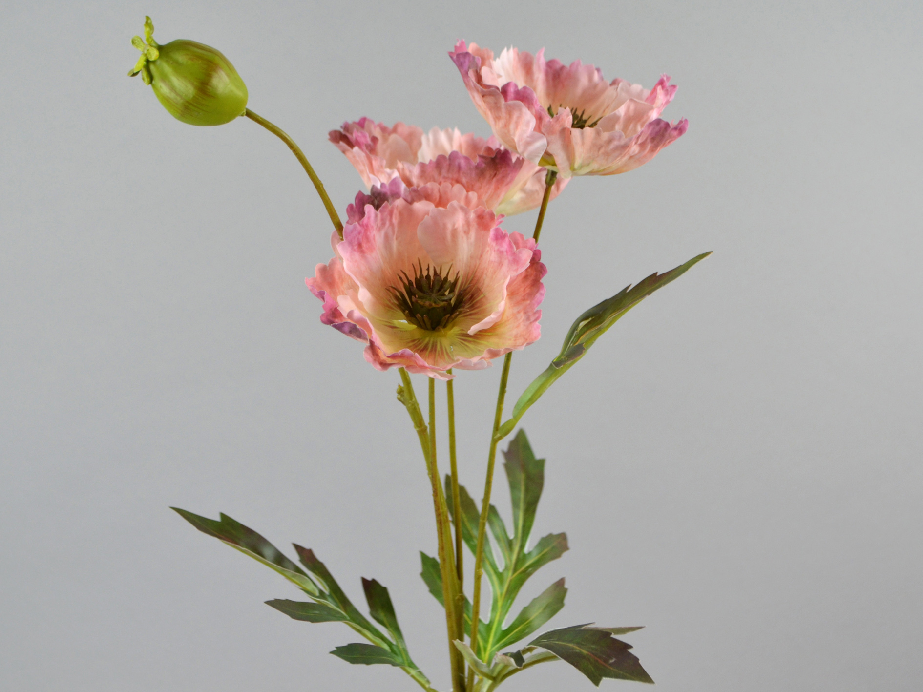 Mohn-Zweig, 3Blüten,1Knospe, 69cm, rosa