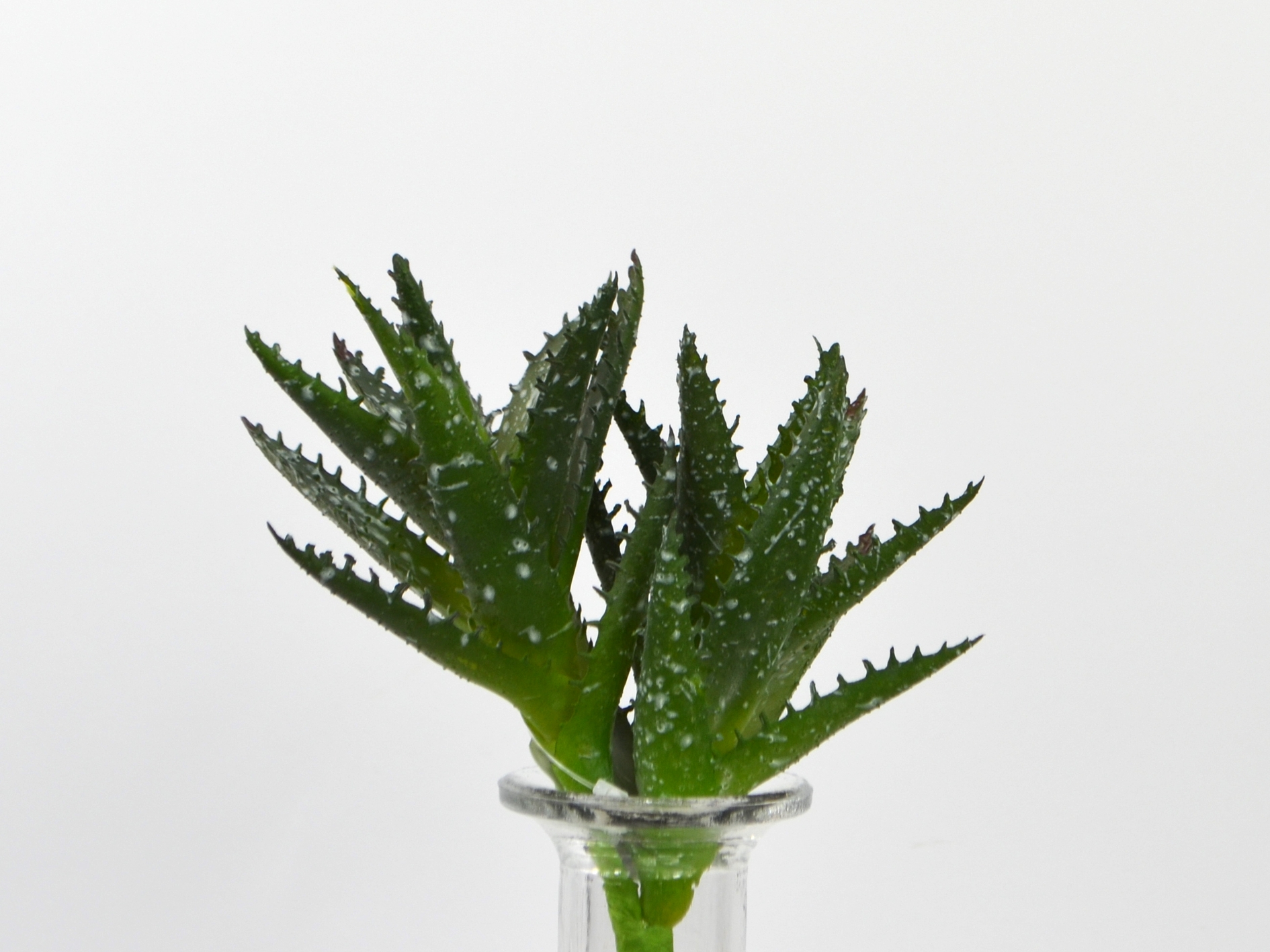 Aloe-Pick x2, 19cm, dkl-grün