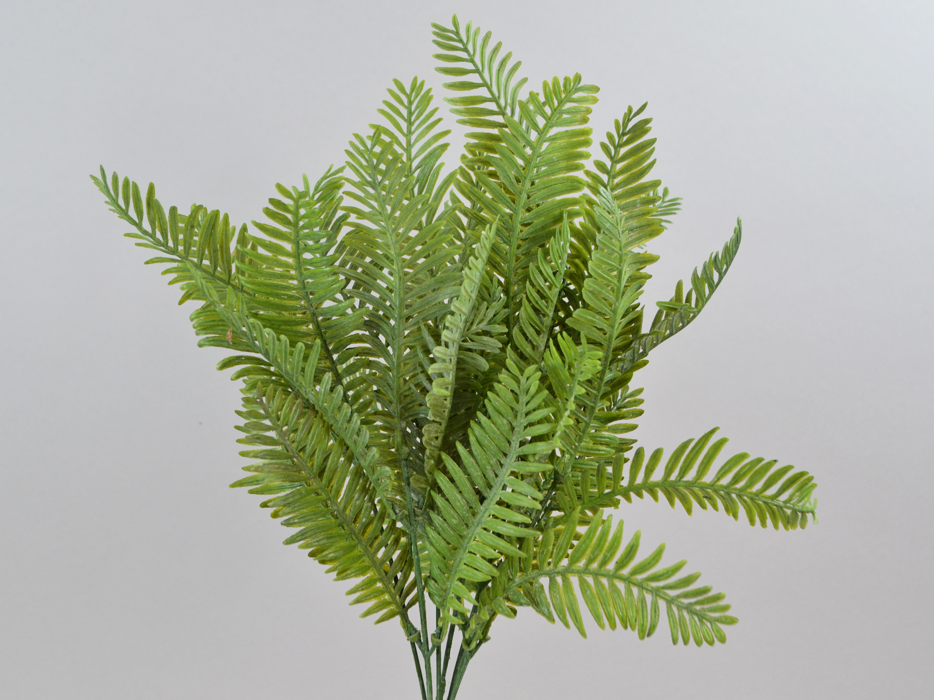 Lederfarn-Busch, 38cm, grün