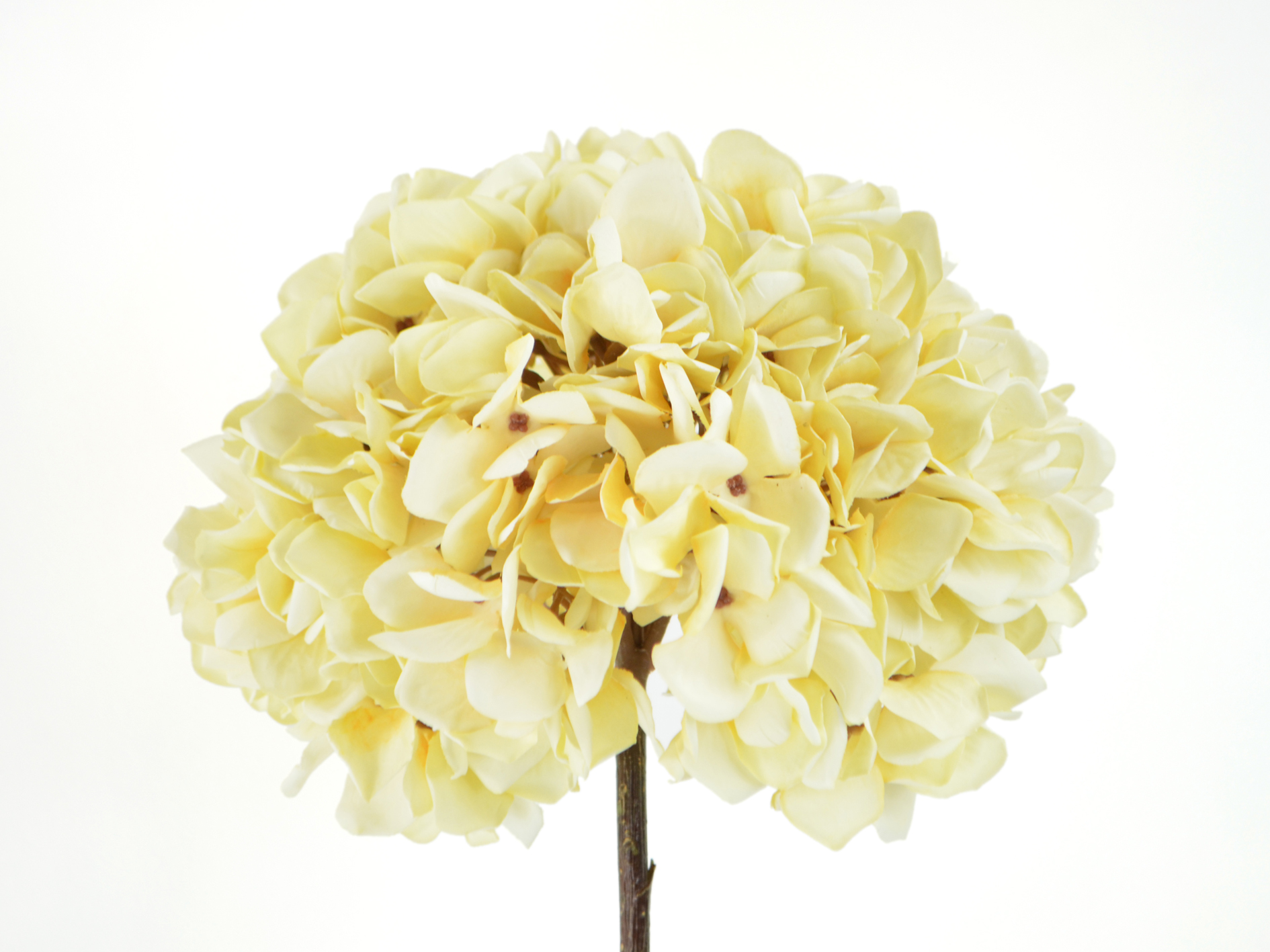 Hydrangea branch, 53cm, cream