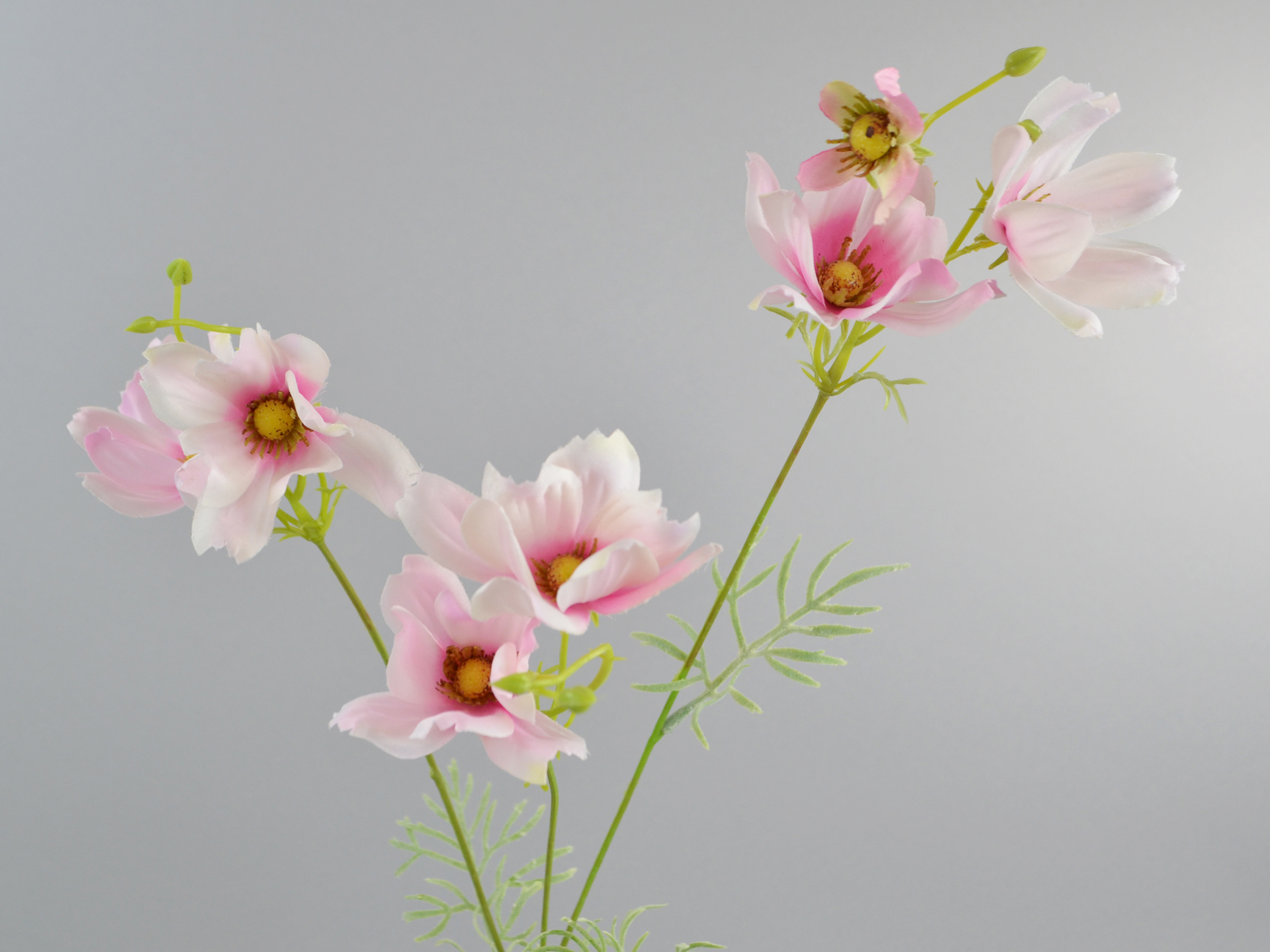 Cosmea branch, 58cm, pink