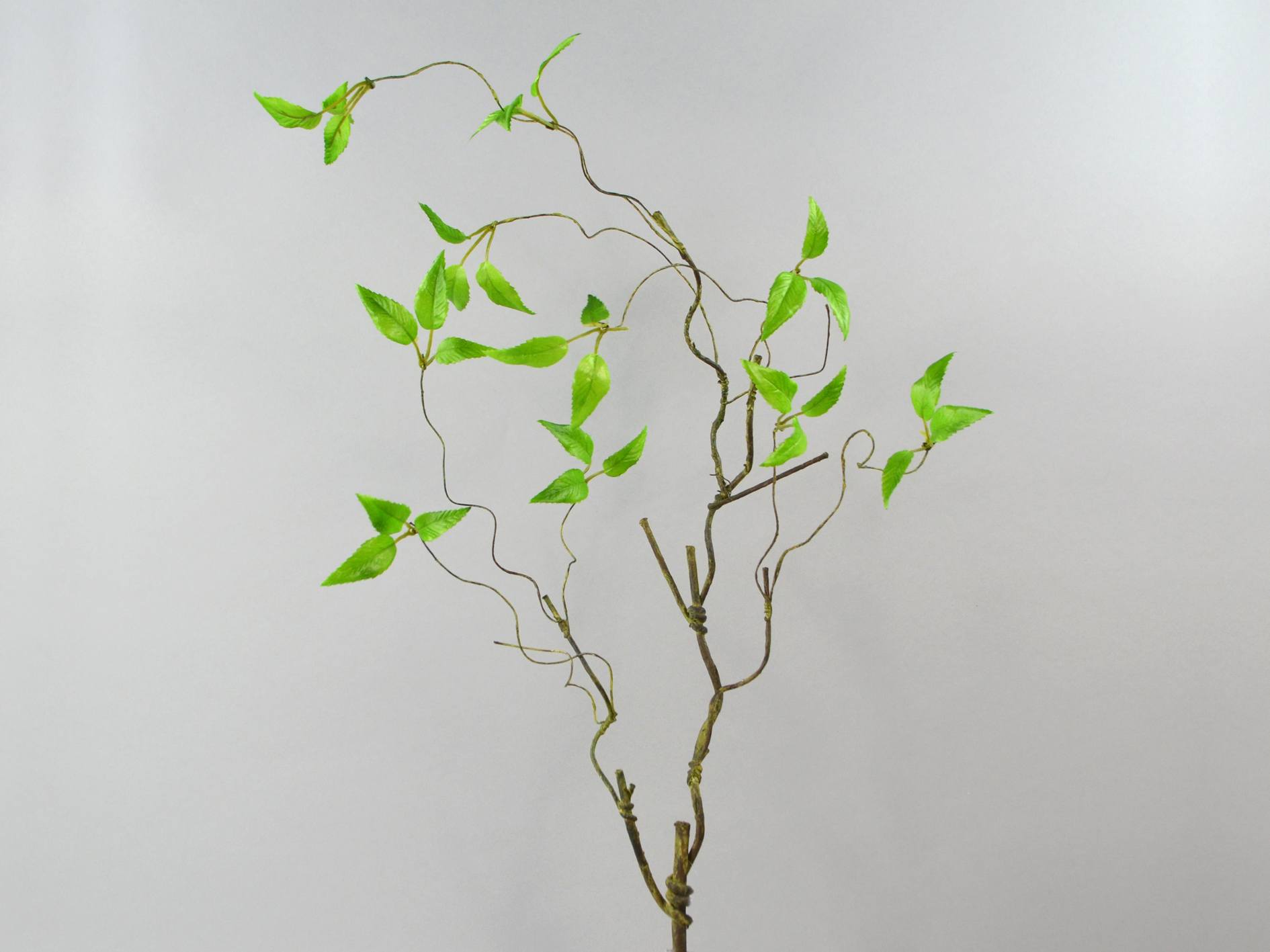 Branch branch, 91cm, green